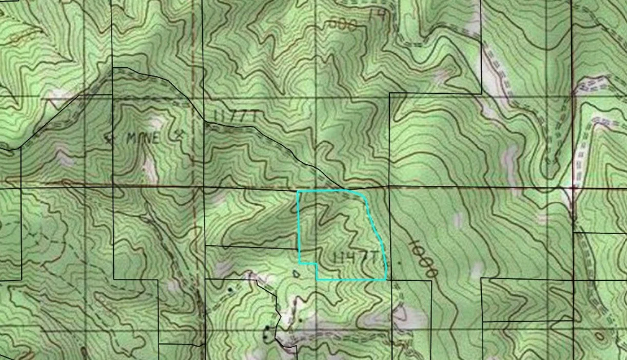 Moore Homestead Topo.jpg