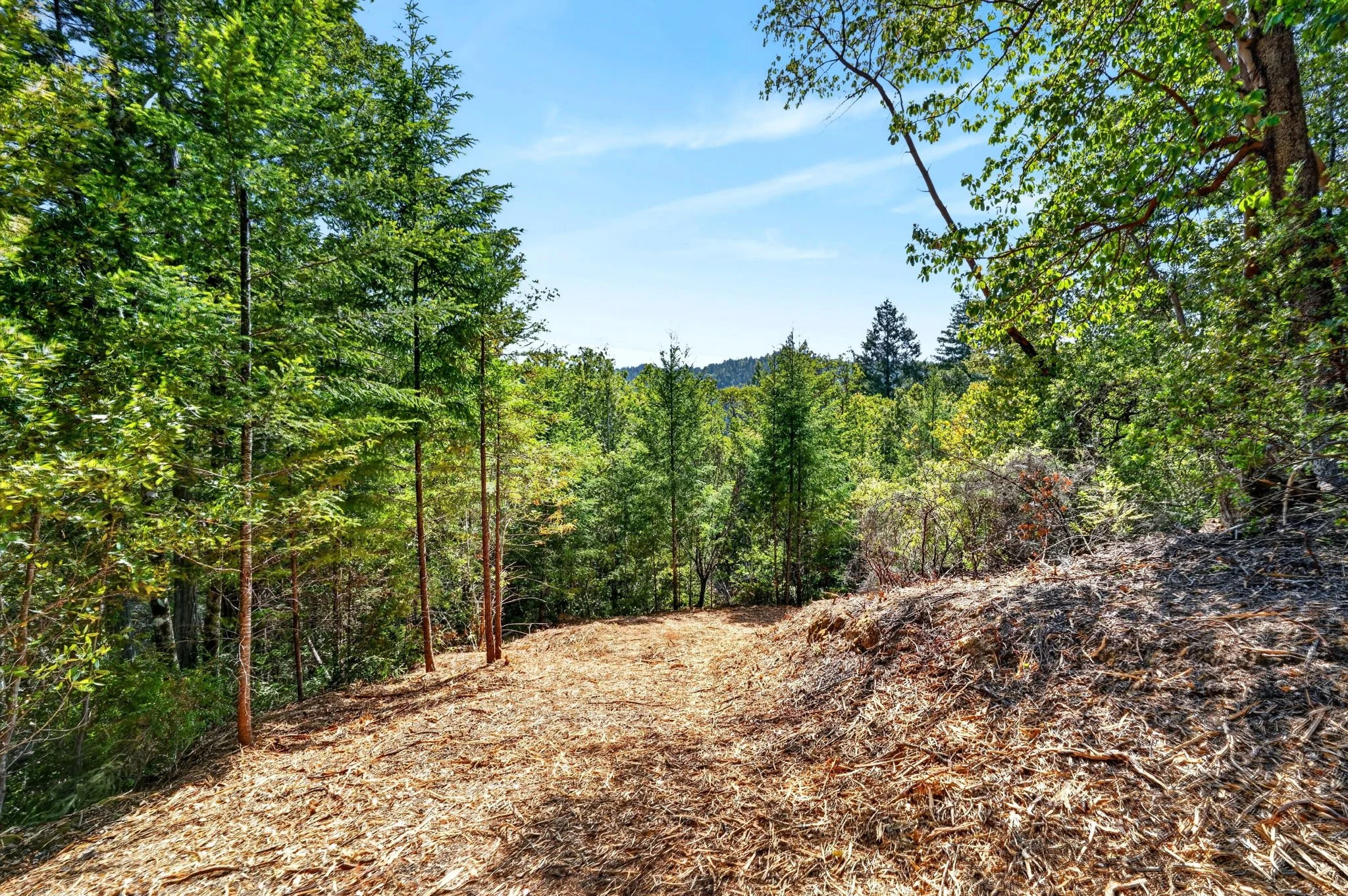Maple Basin Rd, Philo, CA - 	$299,000 