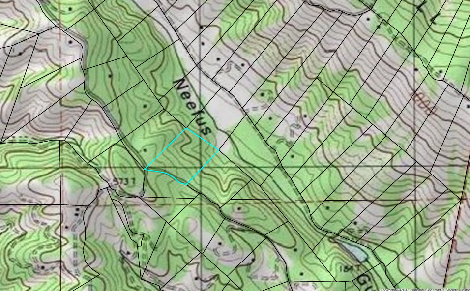 1901 Topo.png
