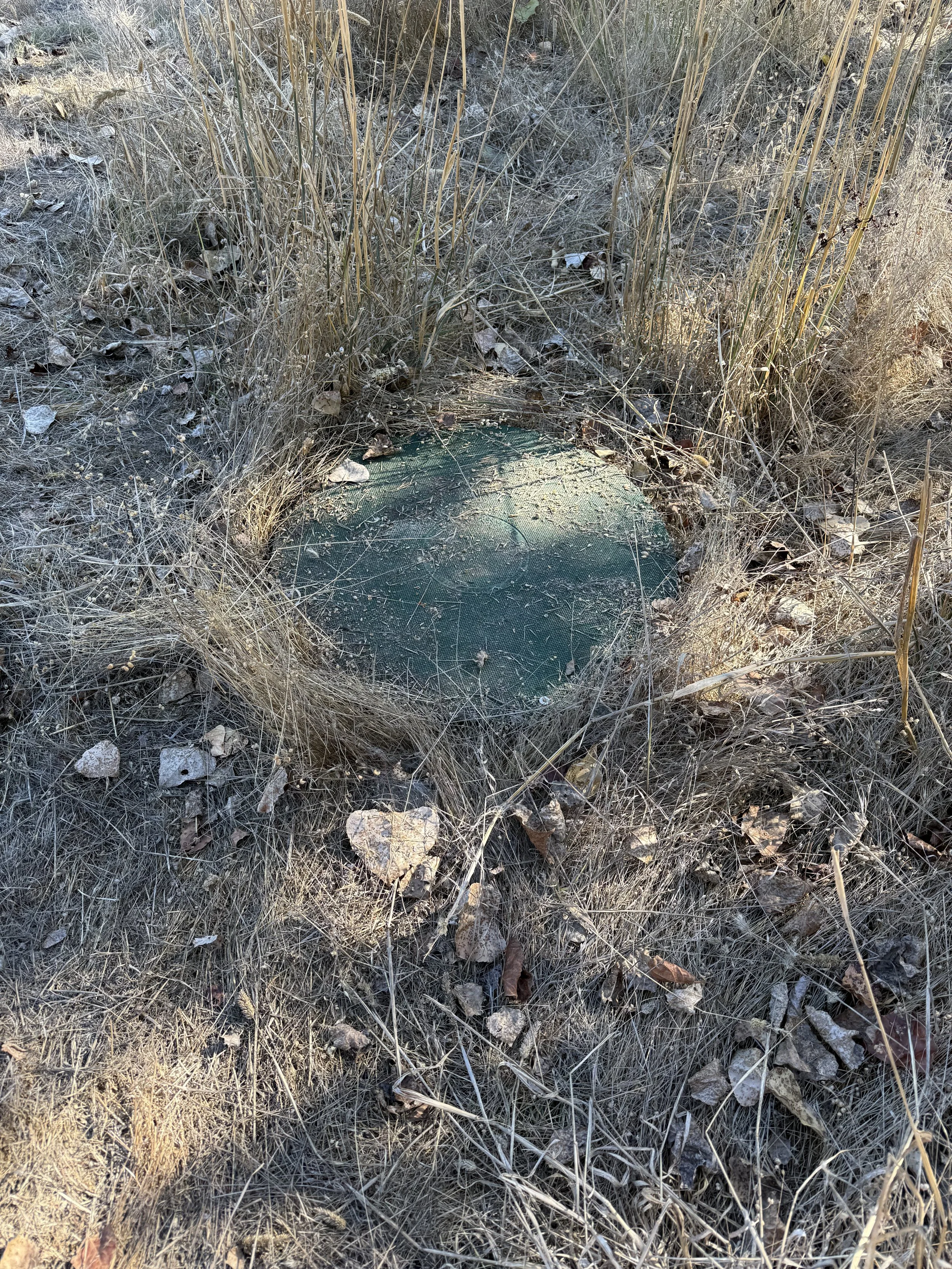 Septic tank lid