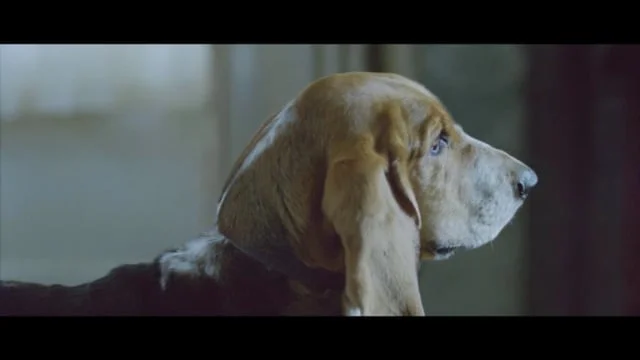 Morethan Freeman - Alfie