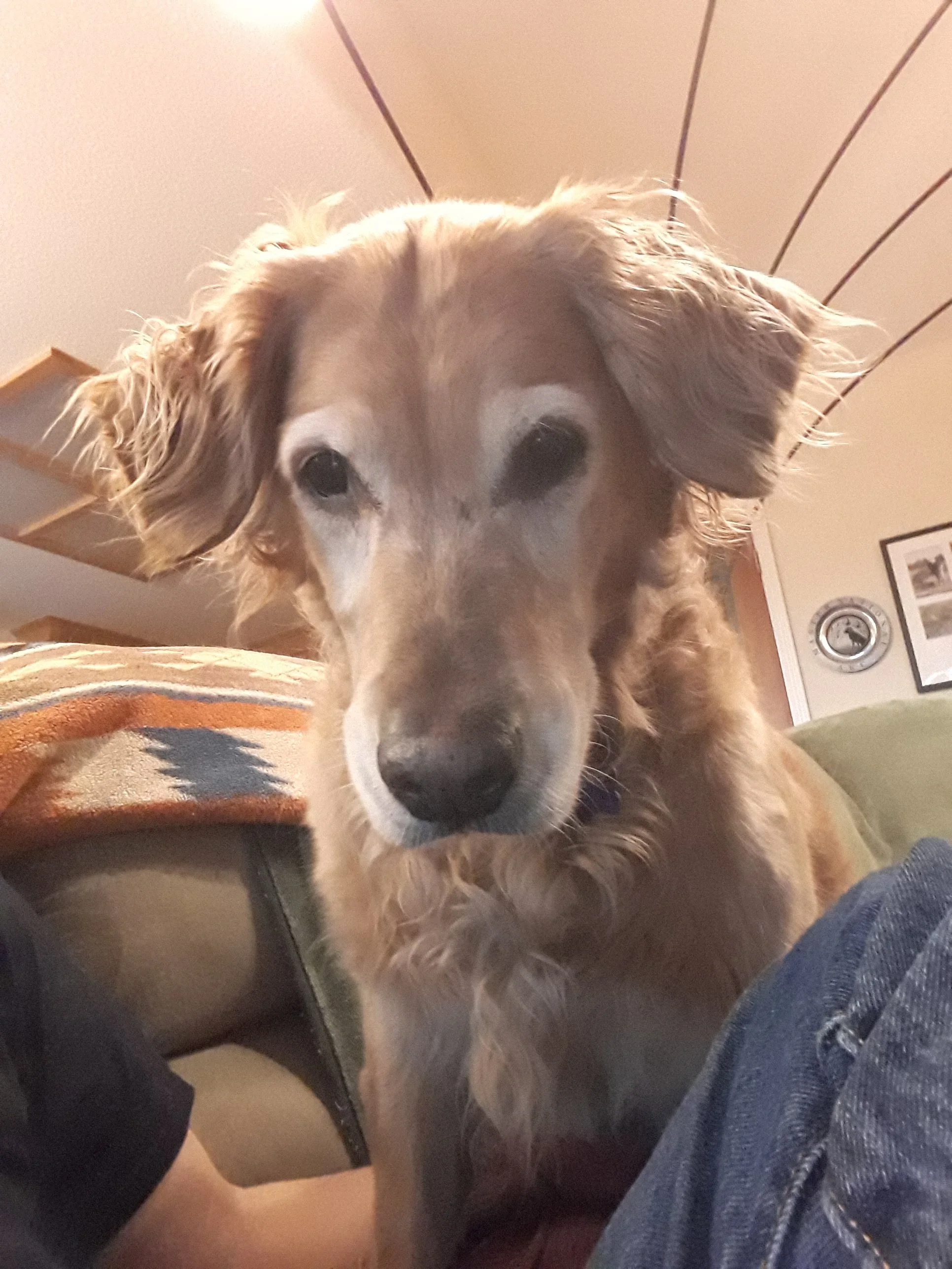 20190417_193404.jpg