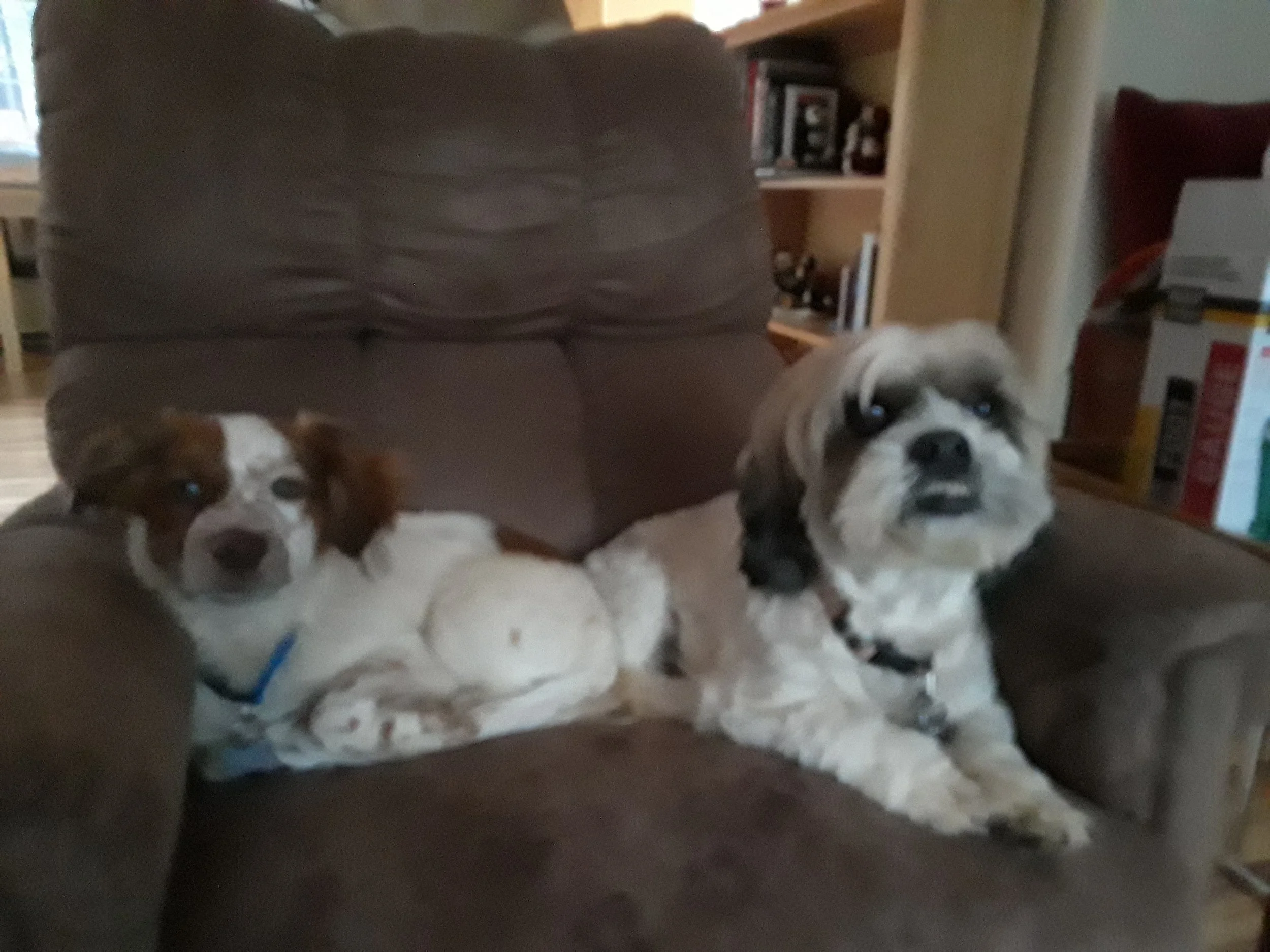 20181130_115308.jpg