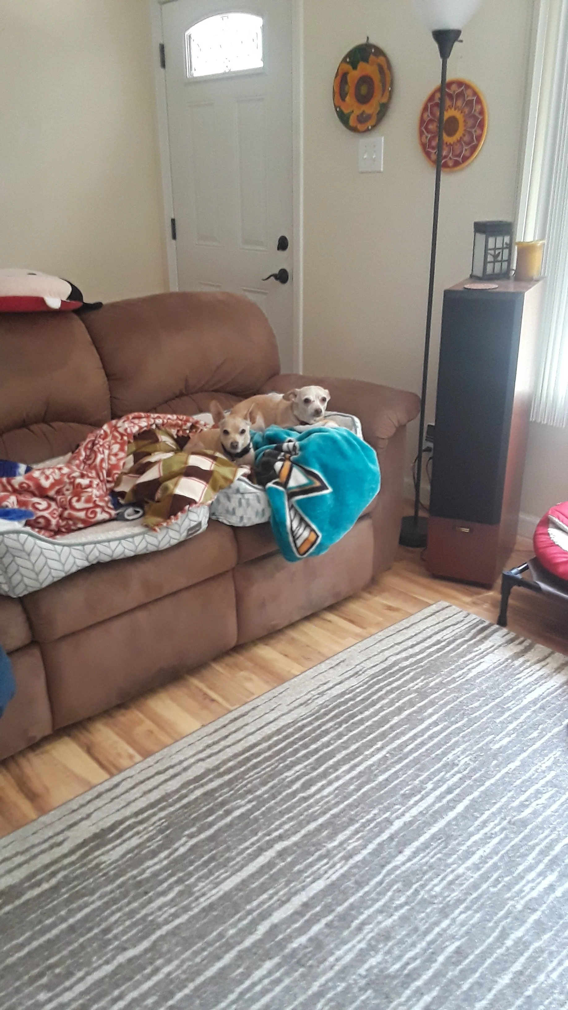 20190514_141744.jpg
