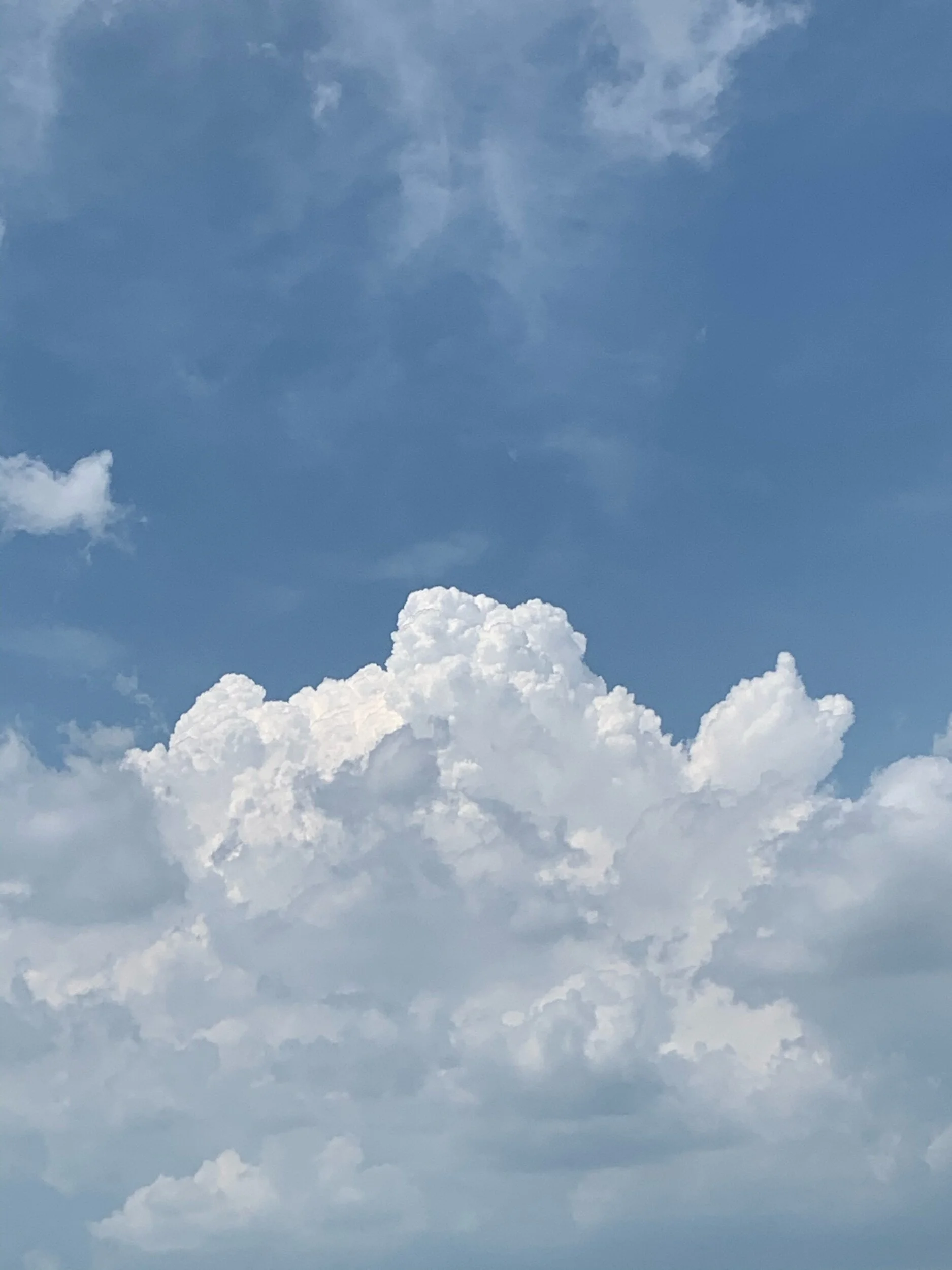 Inspiring Articles &amp; Voices