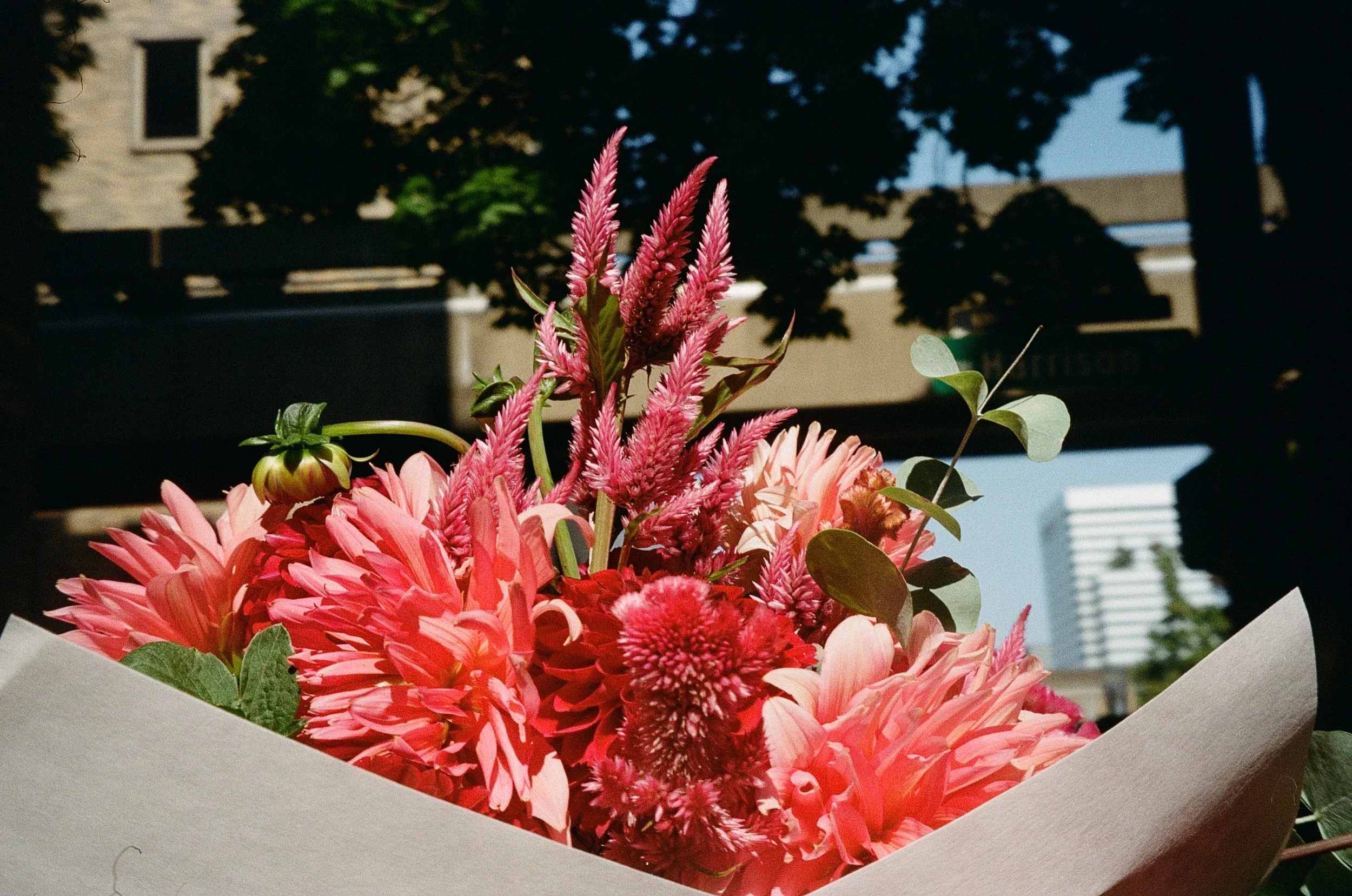 Farmers Market &amp; Museum Day Date