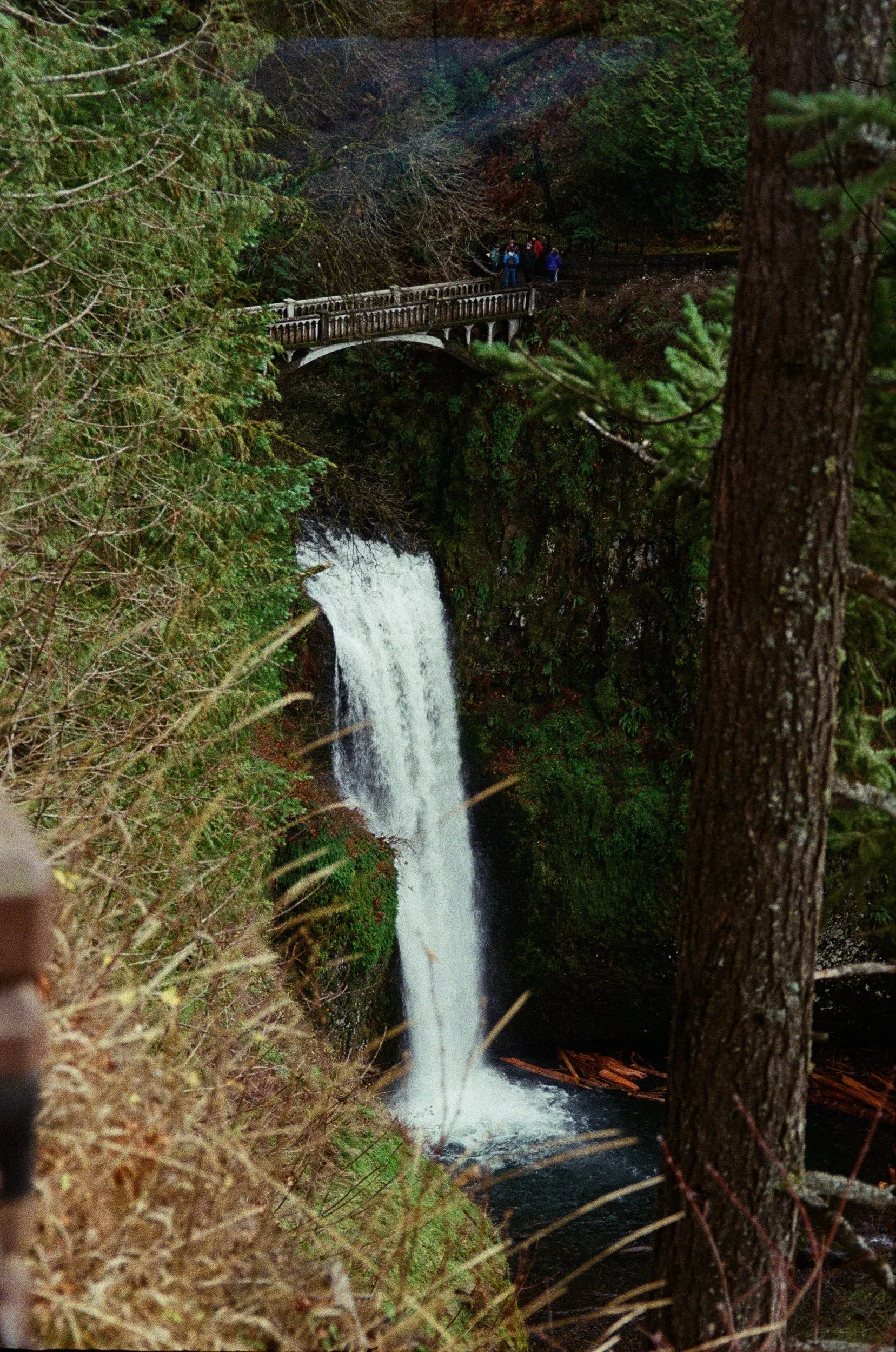 A little waterfall action 