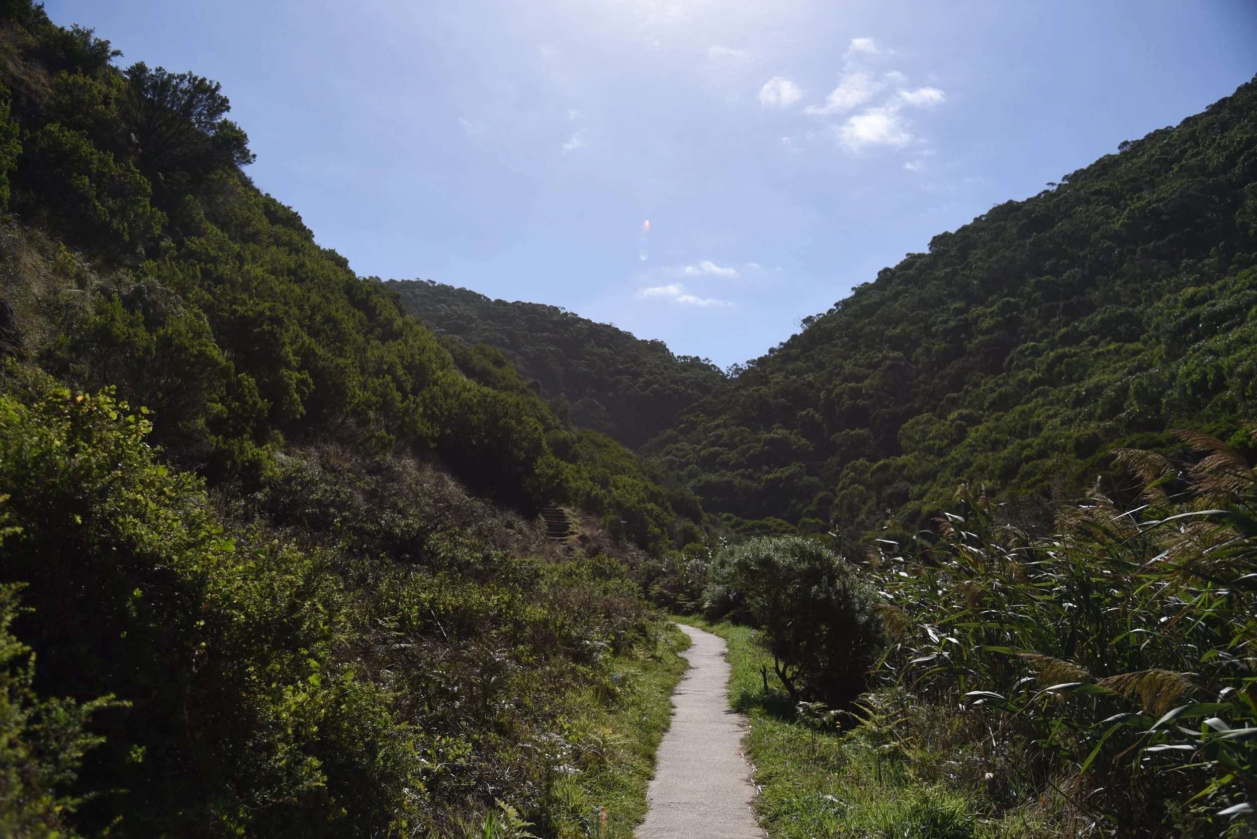DSC_1656.jpg