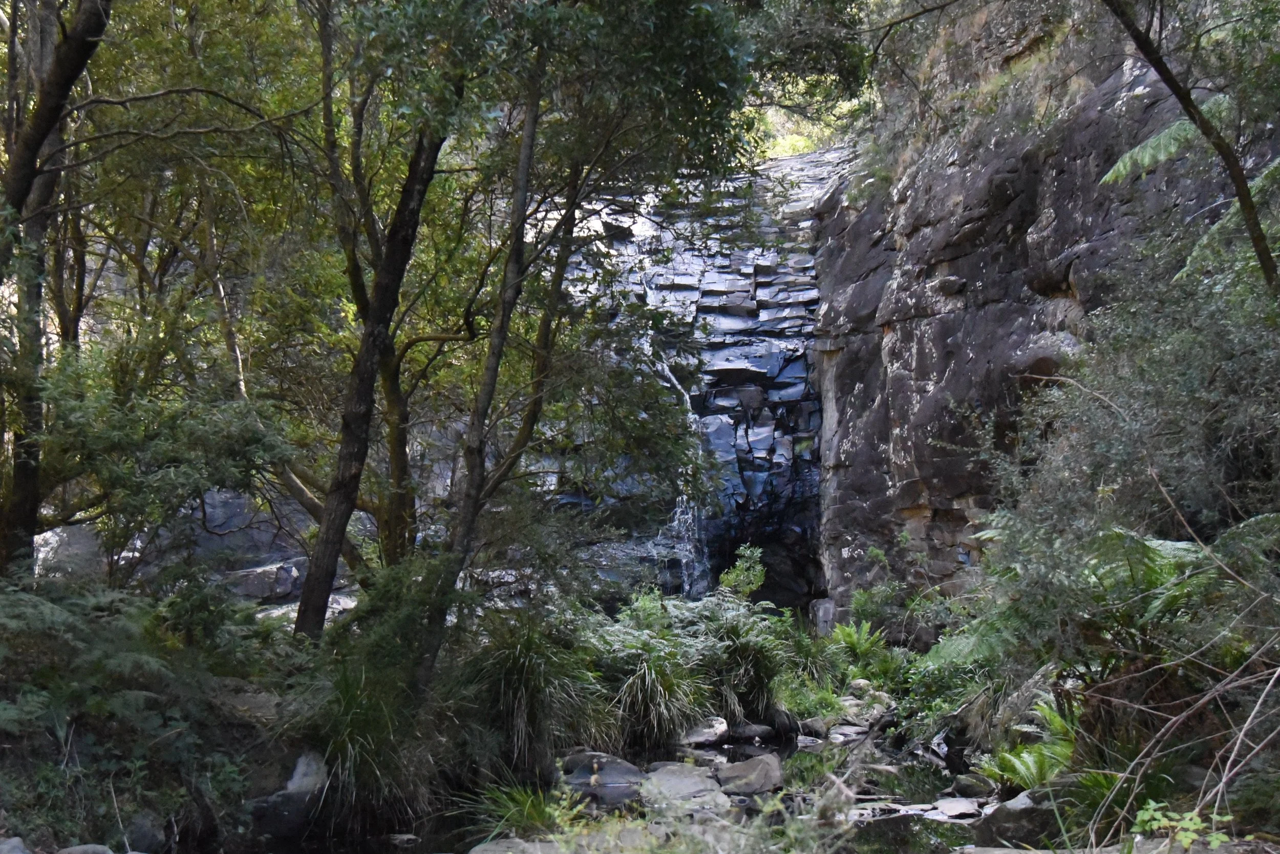 DSC_1668.jpg