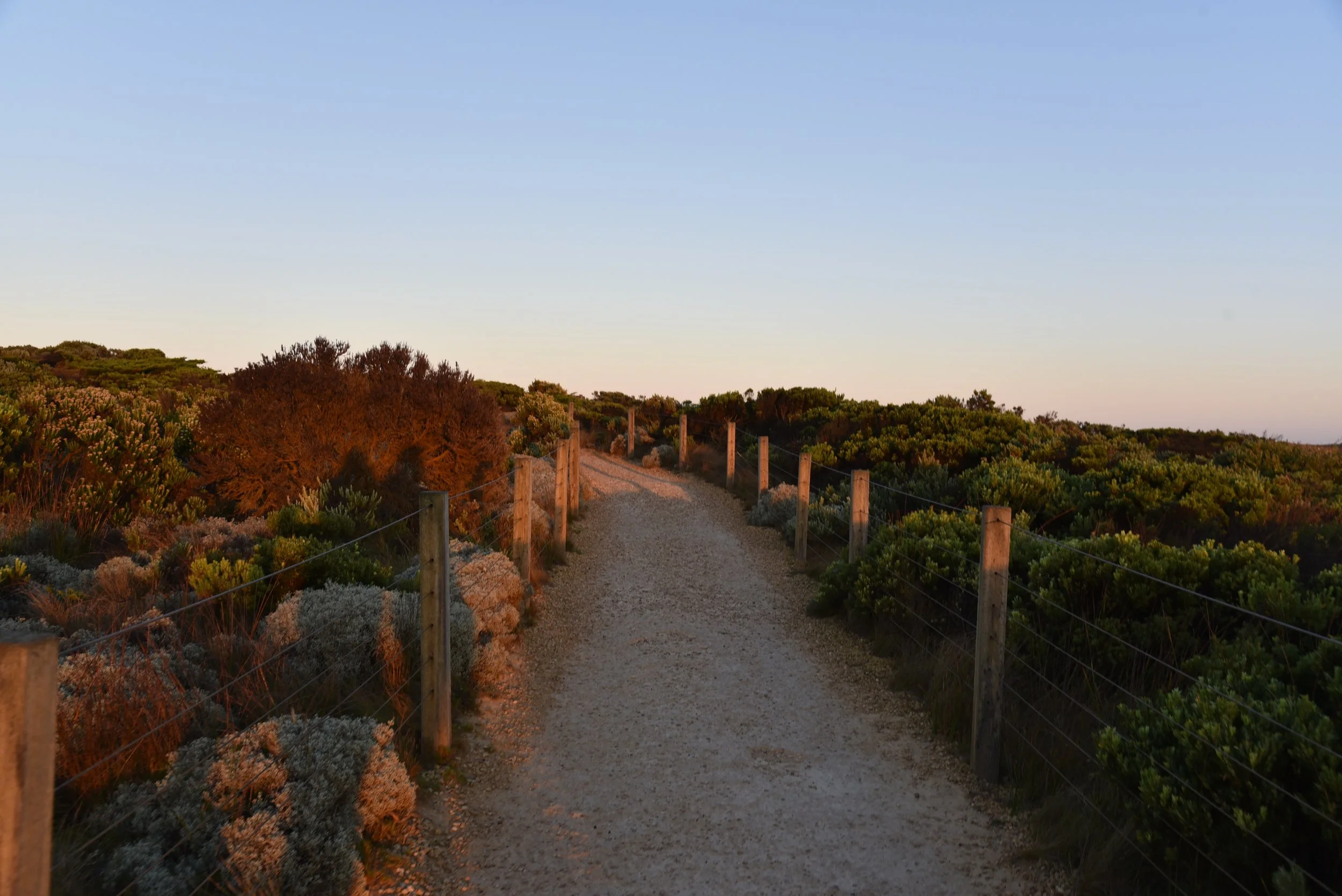 DSC_1817.jpg
