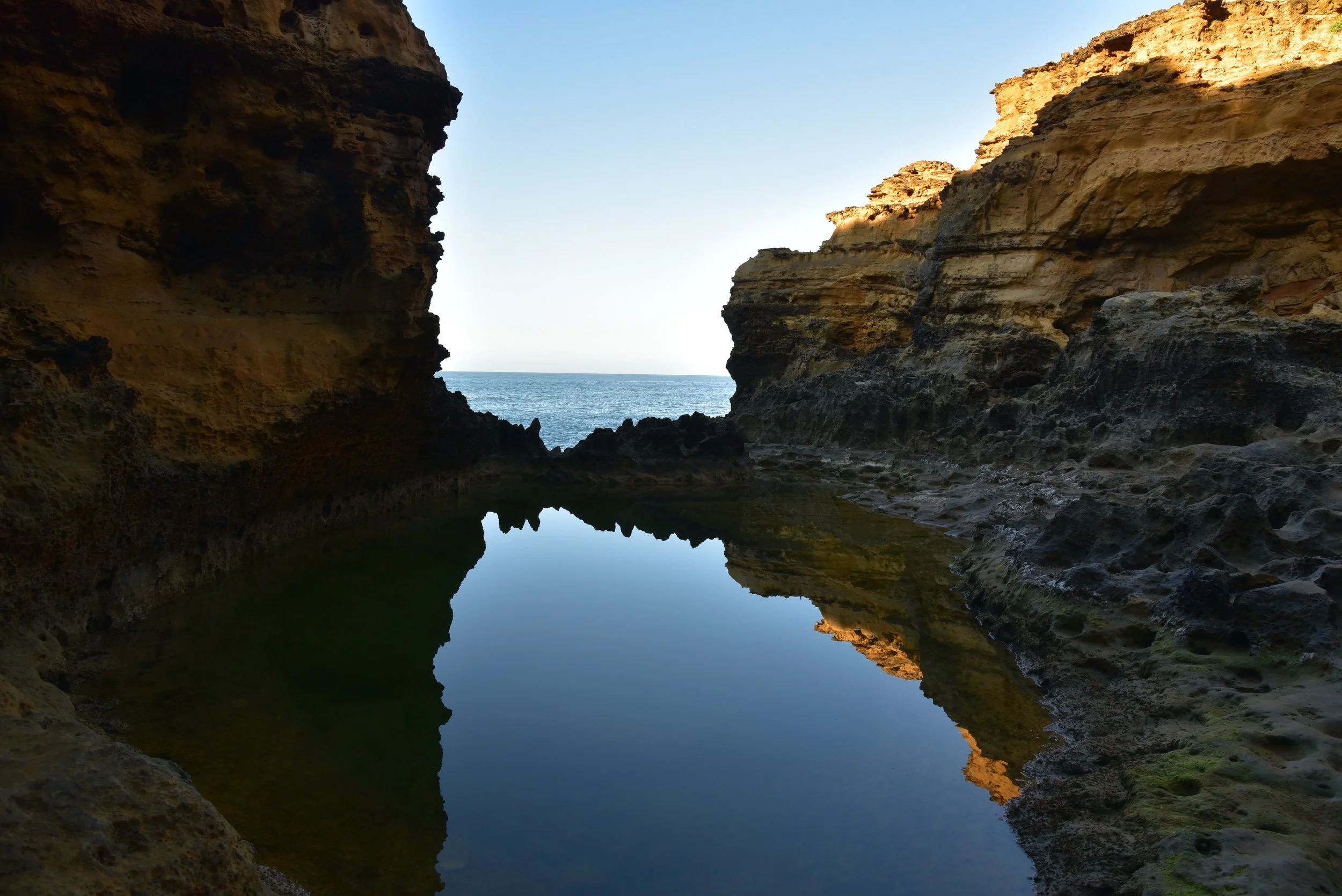 DSC_1881.jpg