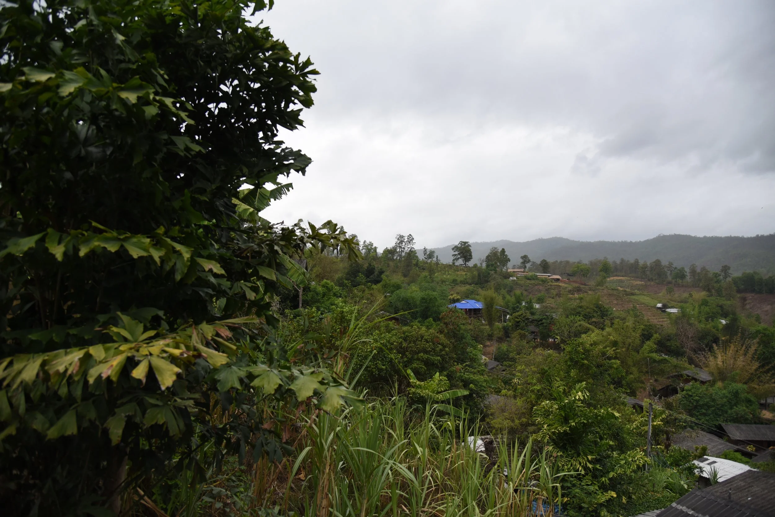 DSC_2544.jpg