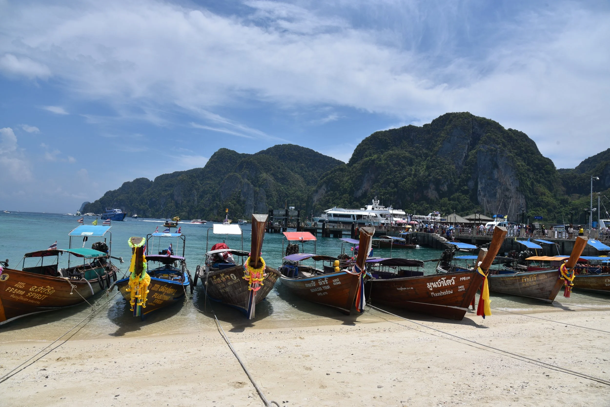DSC_2582.jpg
