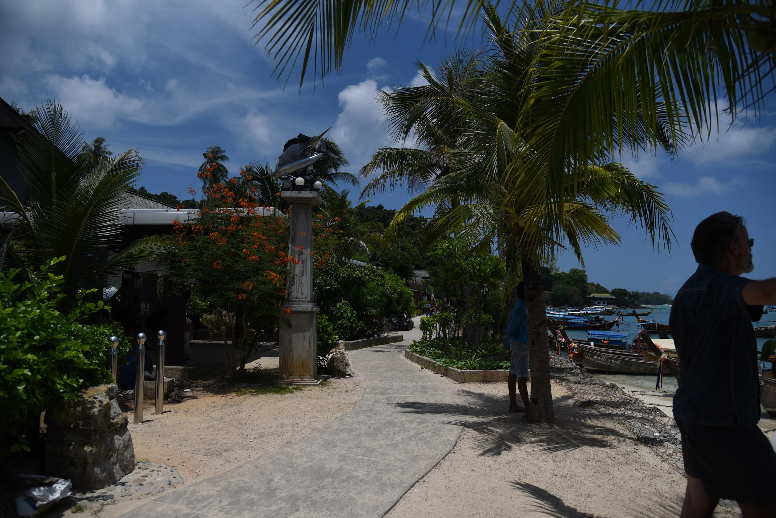 DSC_2586.jpg