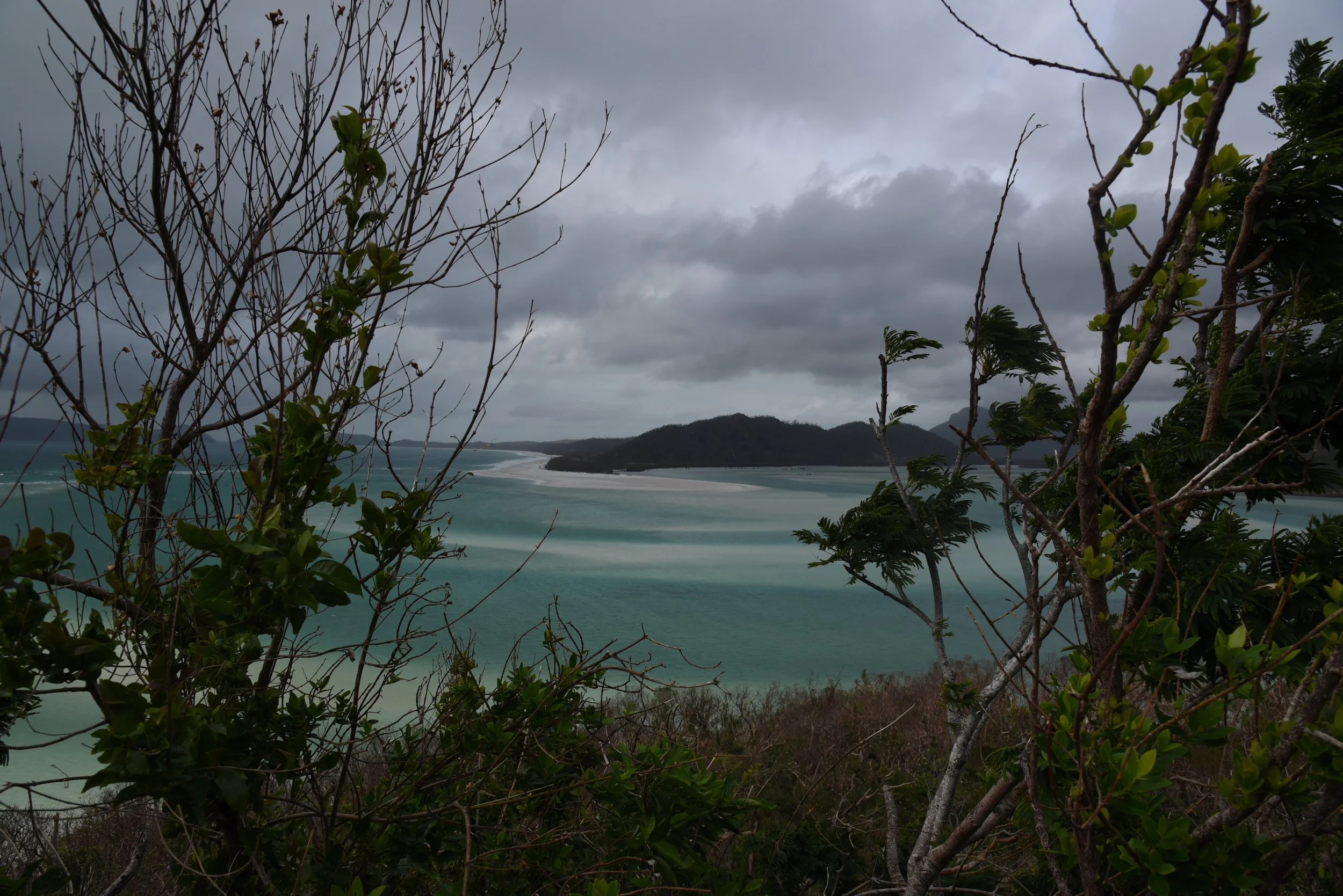 DSC_3563.jpg