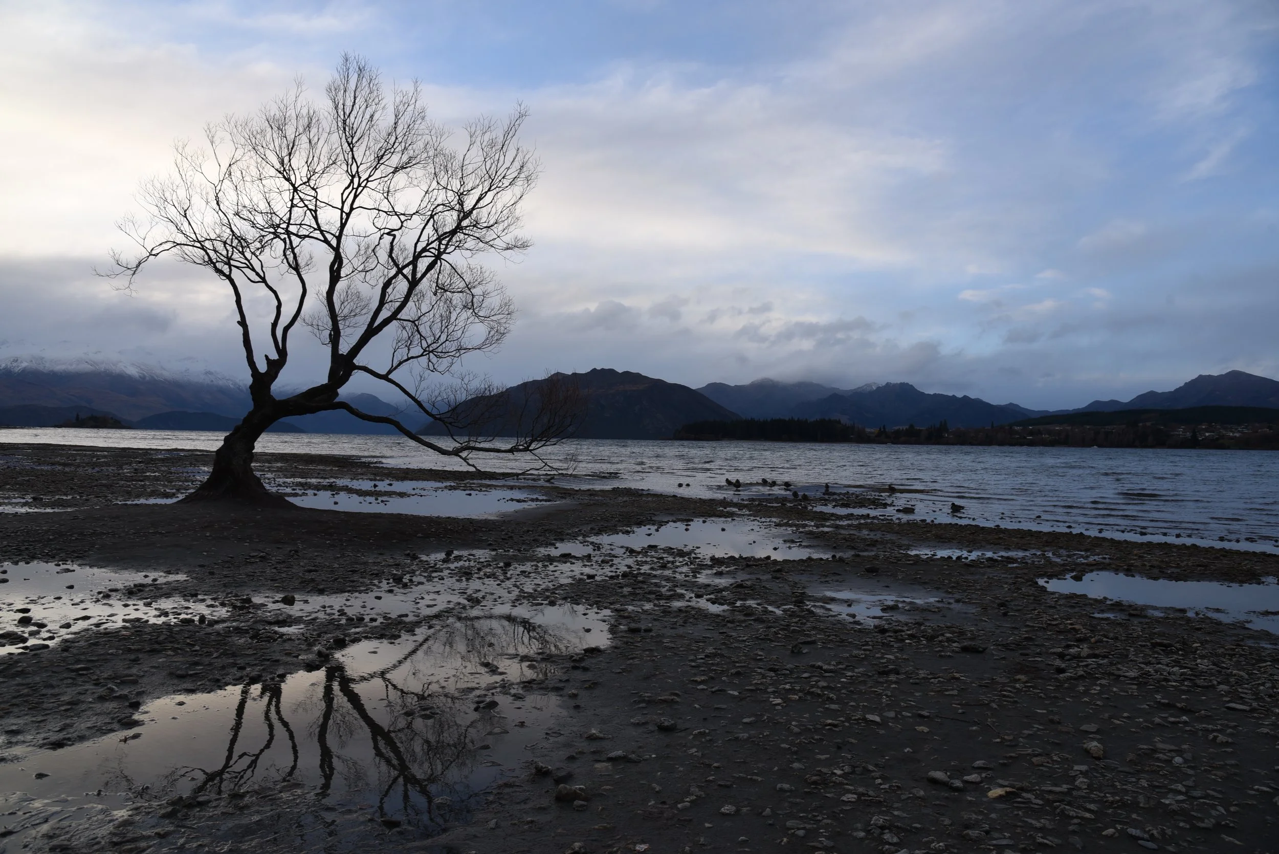 DSC_5072.jpg
