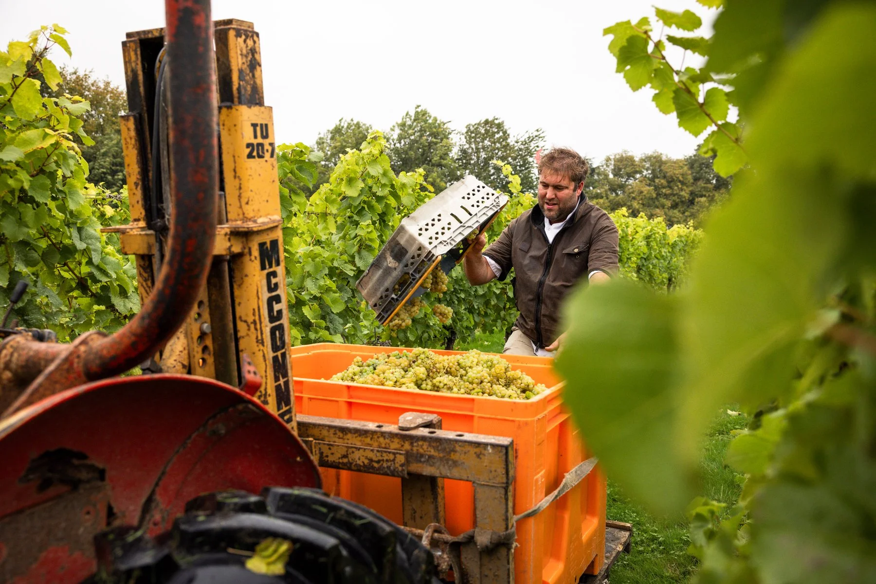 Gladwins_Nutbourne_Sept 2025_161.jpg