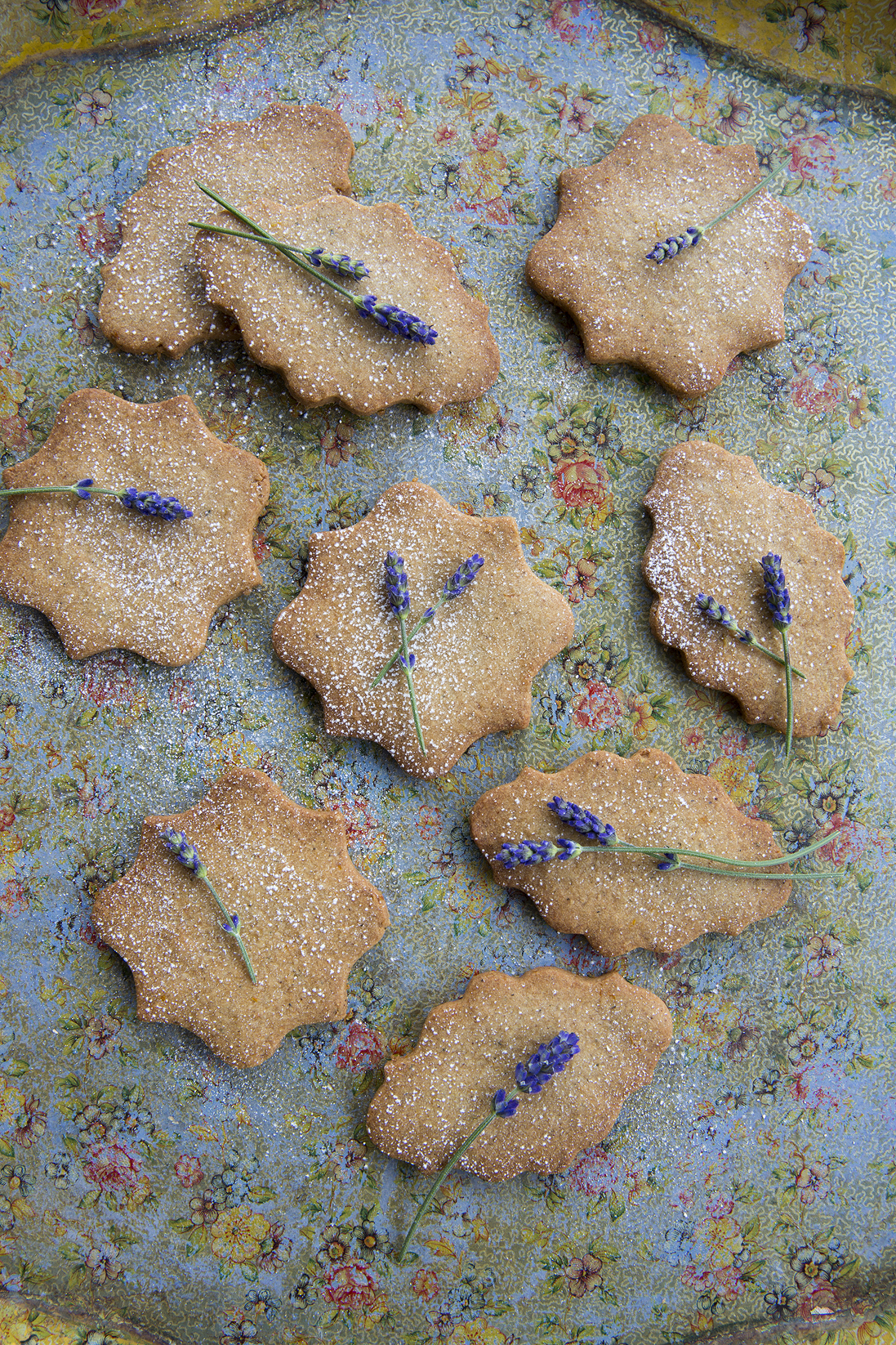 Buckwheat_Lavender_Sables_03.jpg