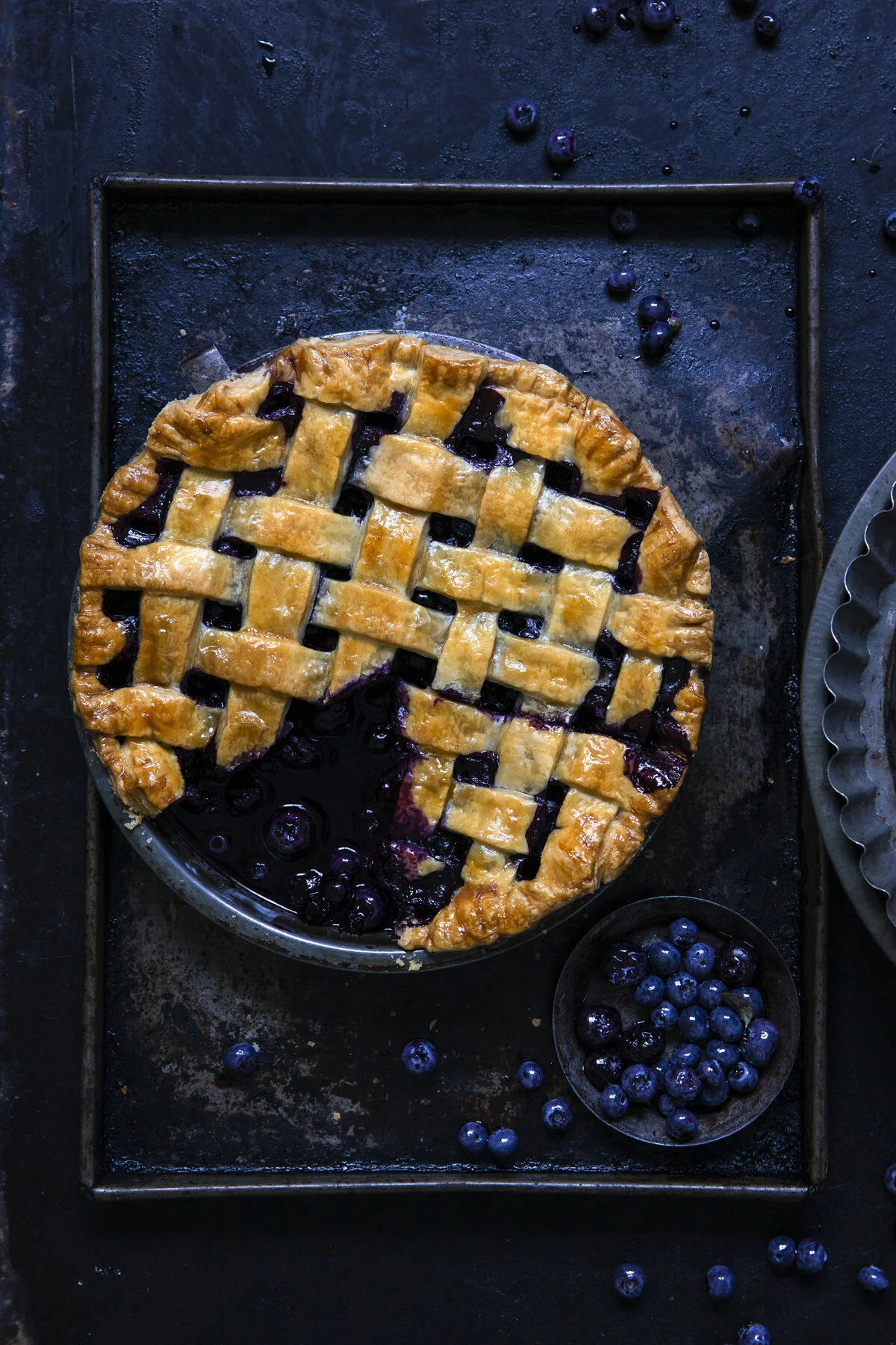 Blueberry Pie F CFRAWLEY.jpg