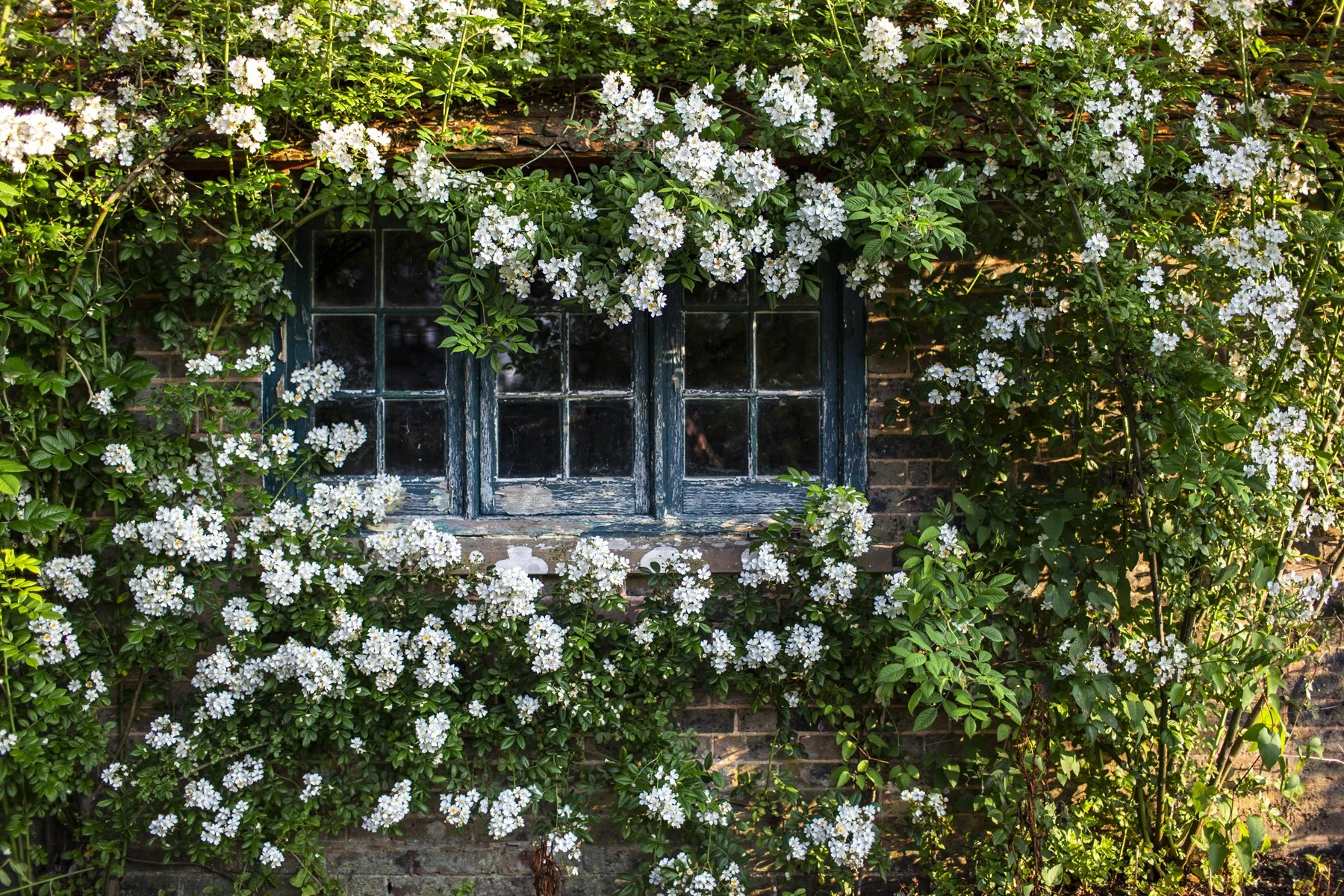 WEB Gravetye Kitchen Garden Jul21_CFrawley_015.JPG