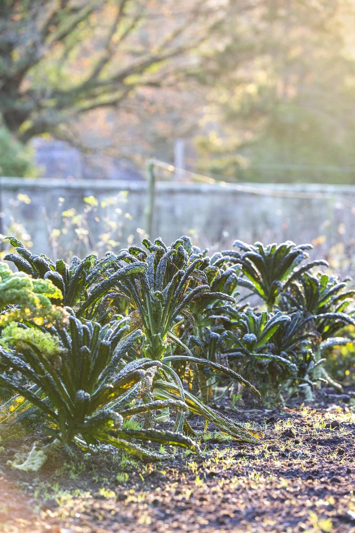 WEB Gravetye Nov 2021_03.JPG