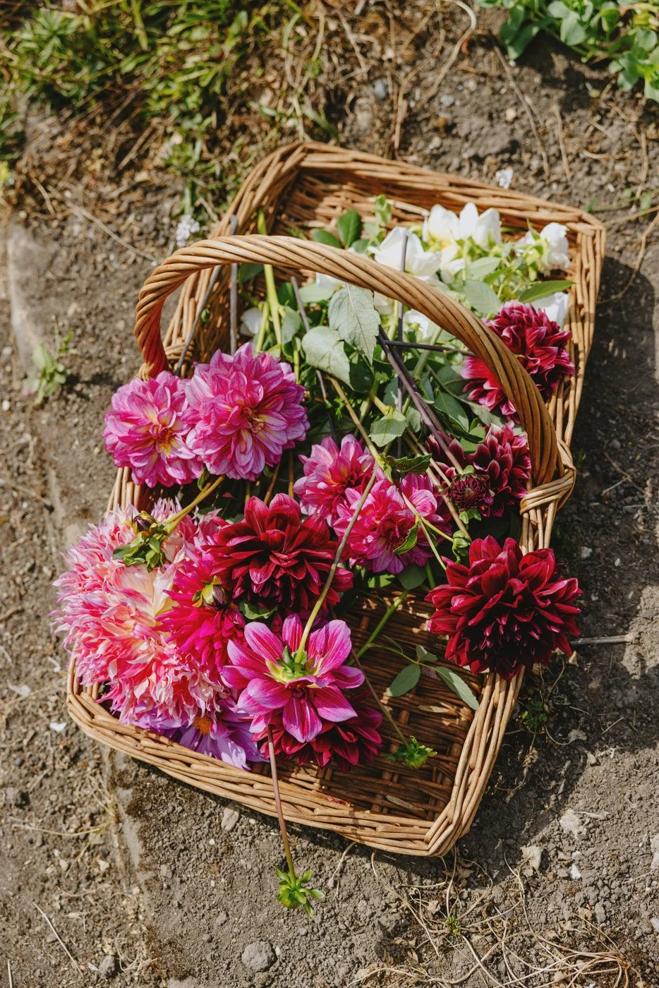 Gravetye Flower Cut Workshop_26.08.26_035.jpg