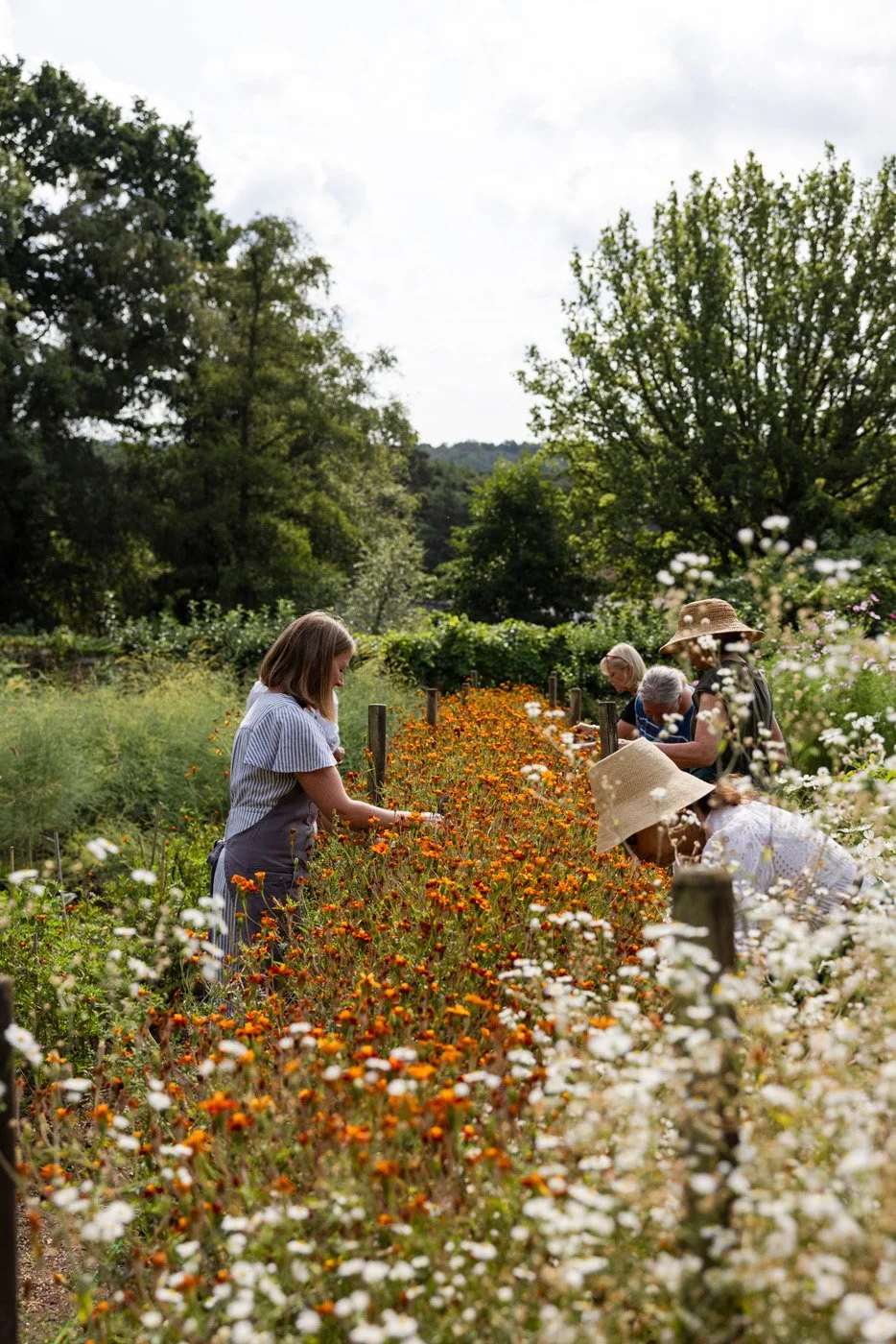 Gravetye Flower Cut Workshop_26.08.26_047.jpg