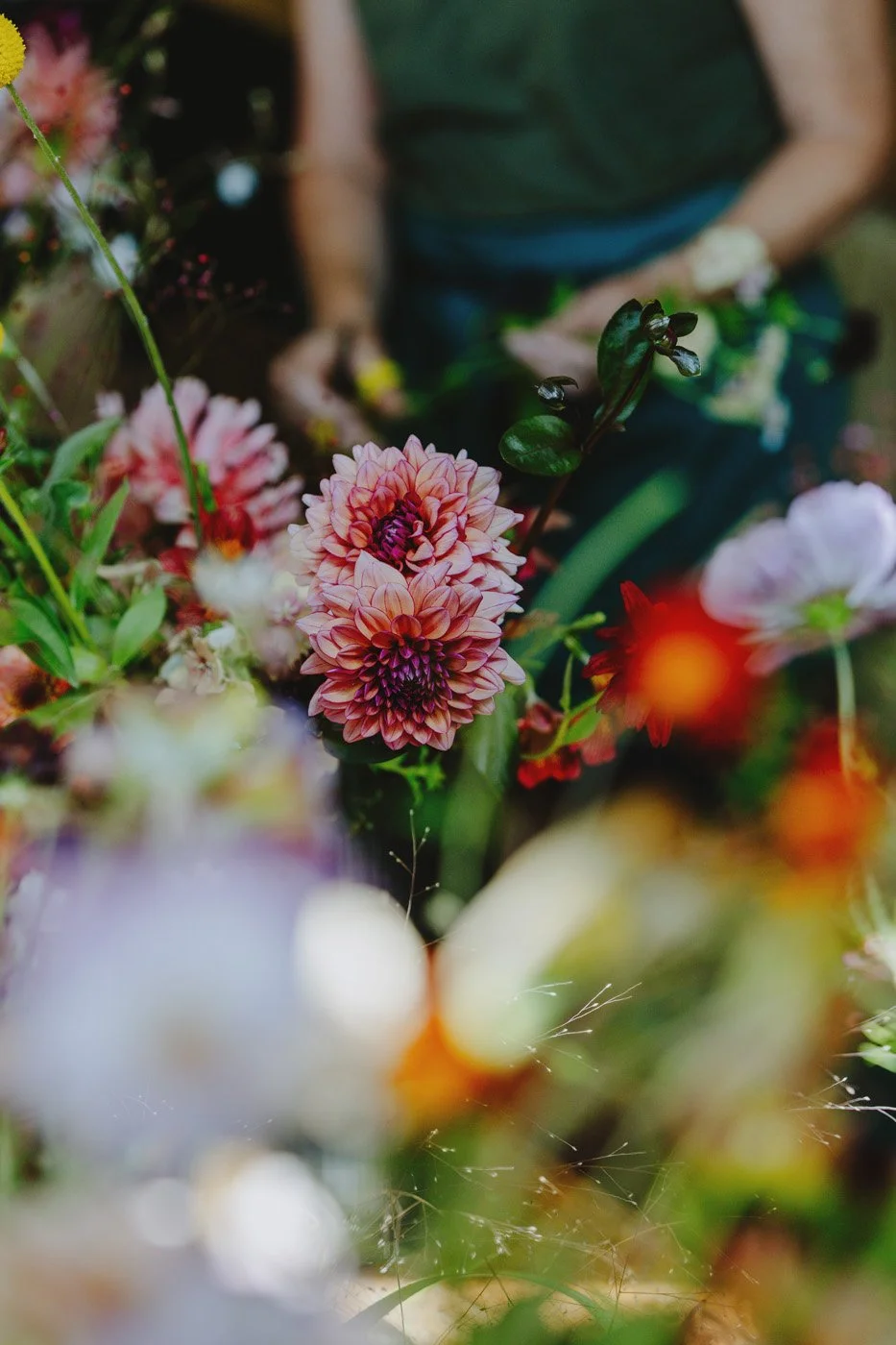 Gravetye Flower Cut Workshop_26.08.26_115.jpg
