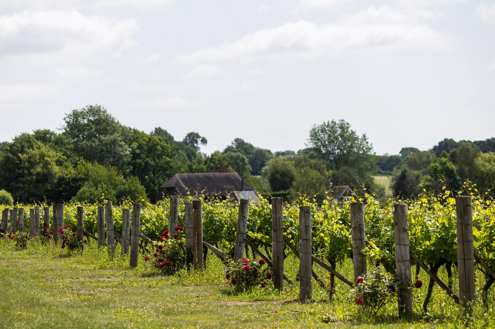 The Gladwins June 2025_013.jpg