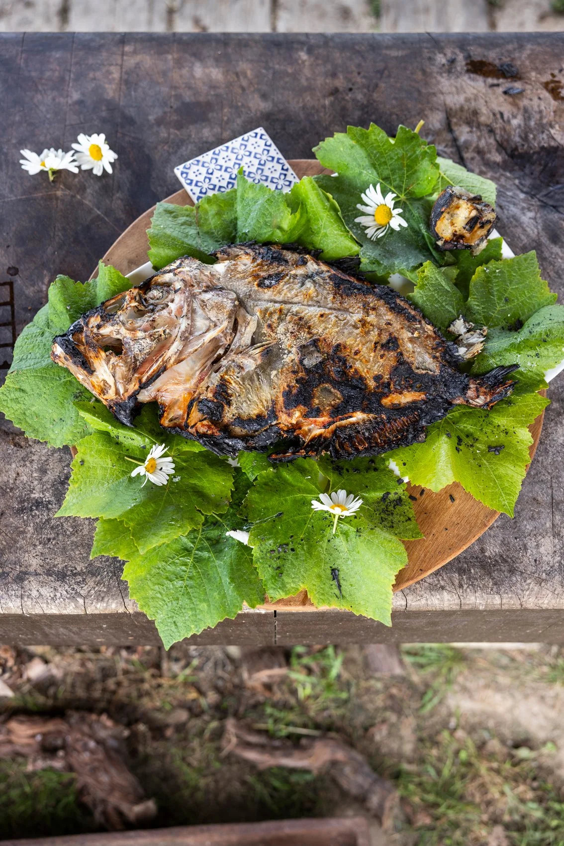 The Gladwins June 2025_068.jpg