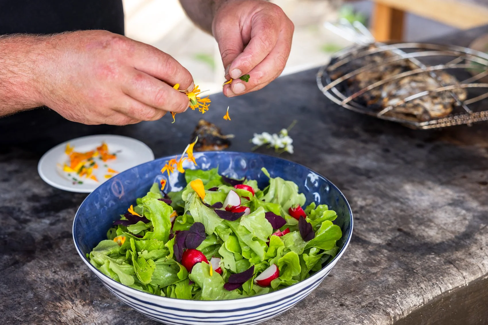 The Gladwins June 2025_064.jpg