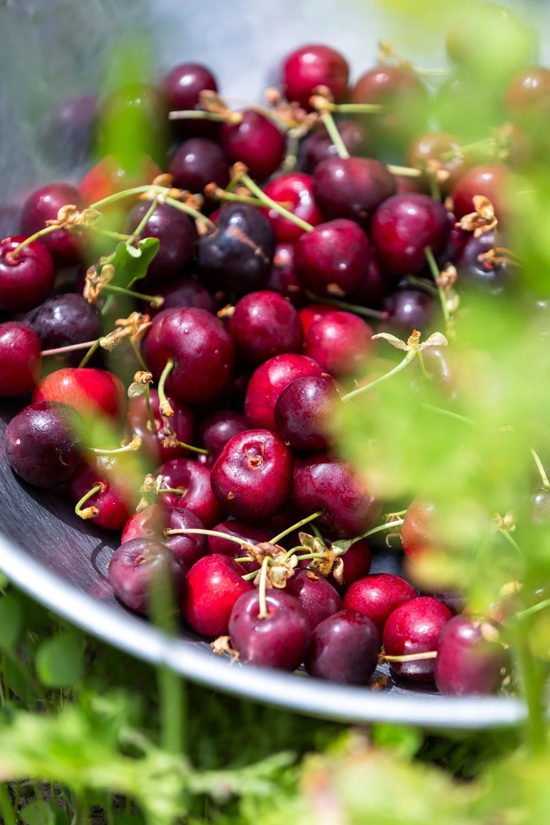 The Gladwins June 2025_071.jpg