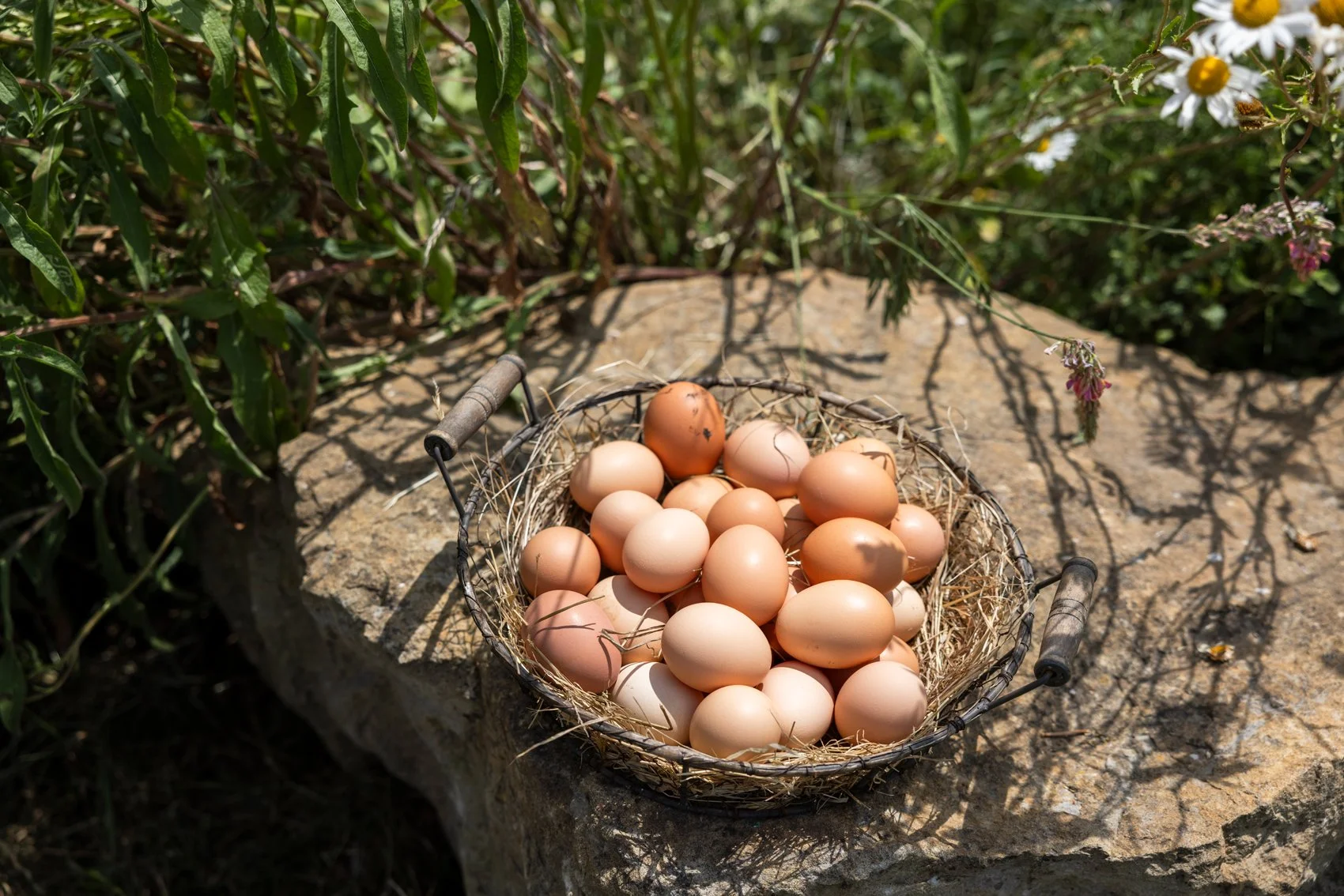 The Gladwins June 2025_161.jpg