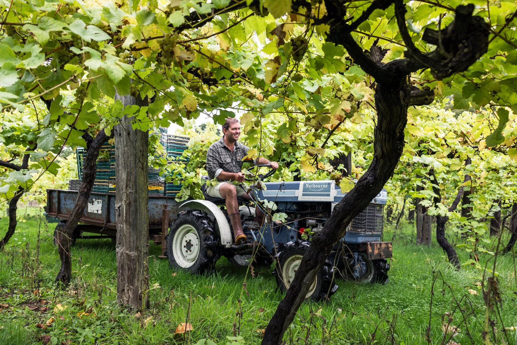 Gladwins_Nutbourne_Sept 2025_097.jpg