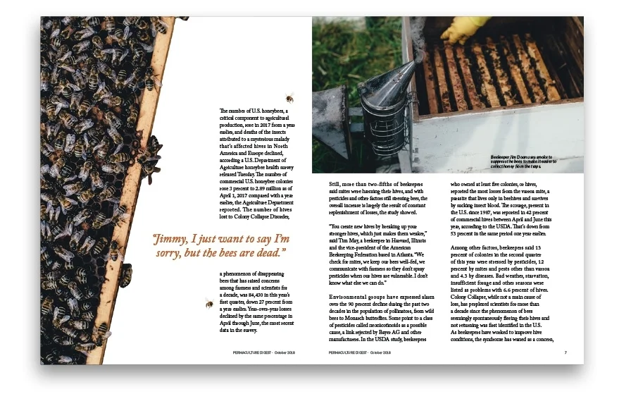 PHARIS_Portfolio_NOPAGINATION_forWeb_PAGES71.jpg