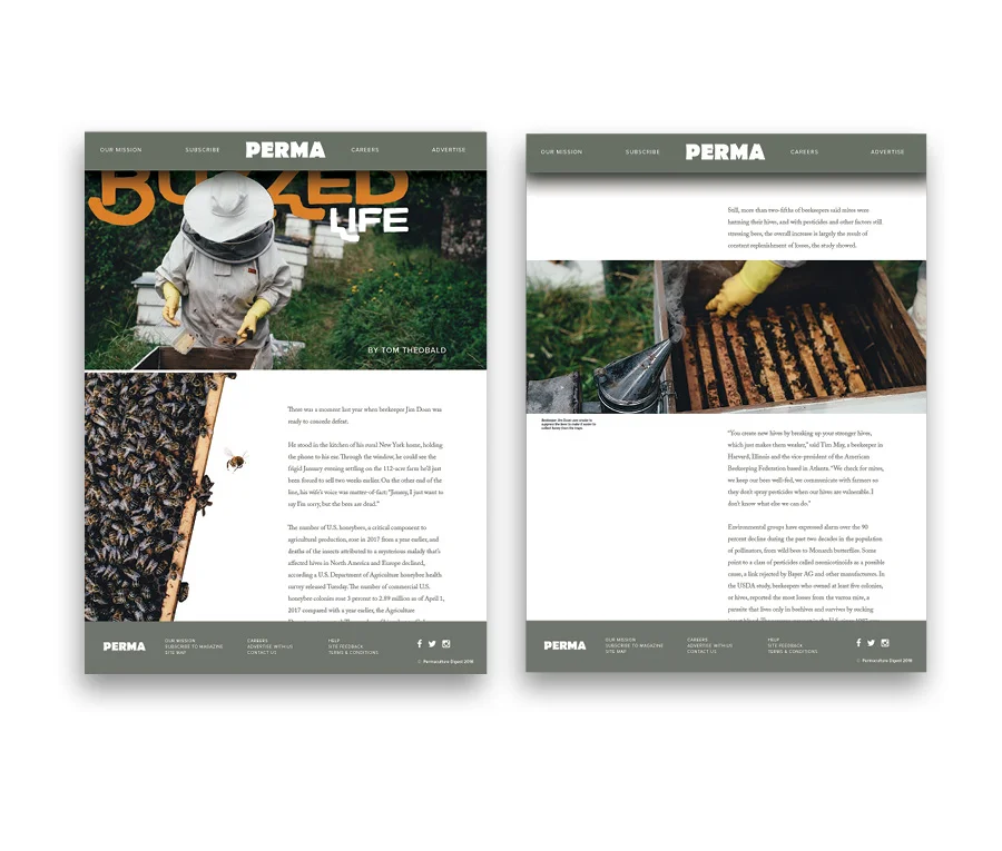 PHARIS_Portfolio_NOPAGINATION_forWeb_PAGES73.jpg