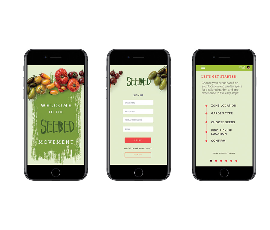 PHARIS_Portfolio_NOPAGINATION_forWeb_PAGES109.jpg