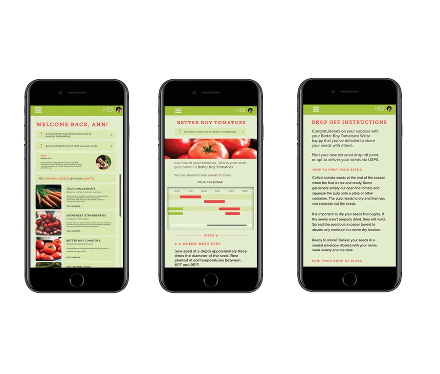 PHARIS_Portfolio_NOPAGINATION_forWeb_PAGES112.jpg