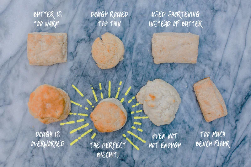 Biscuit infographic