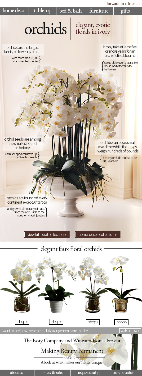 Ivory Company Valentine's Day faux floral email design