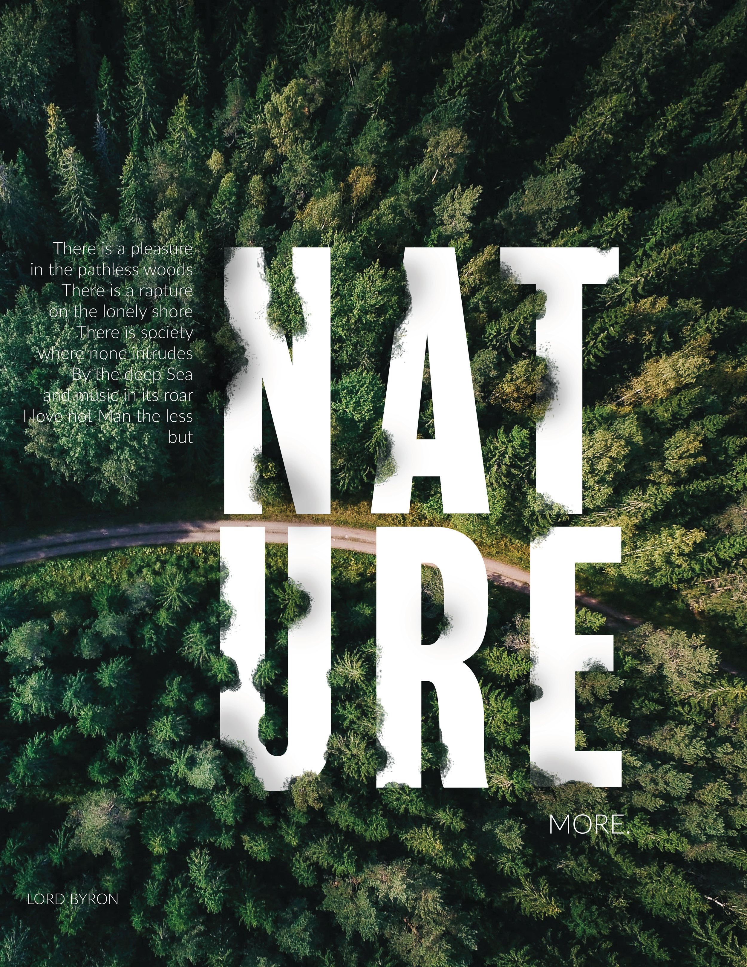 natureV8.jpg