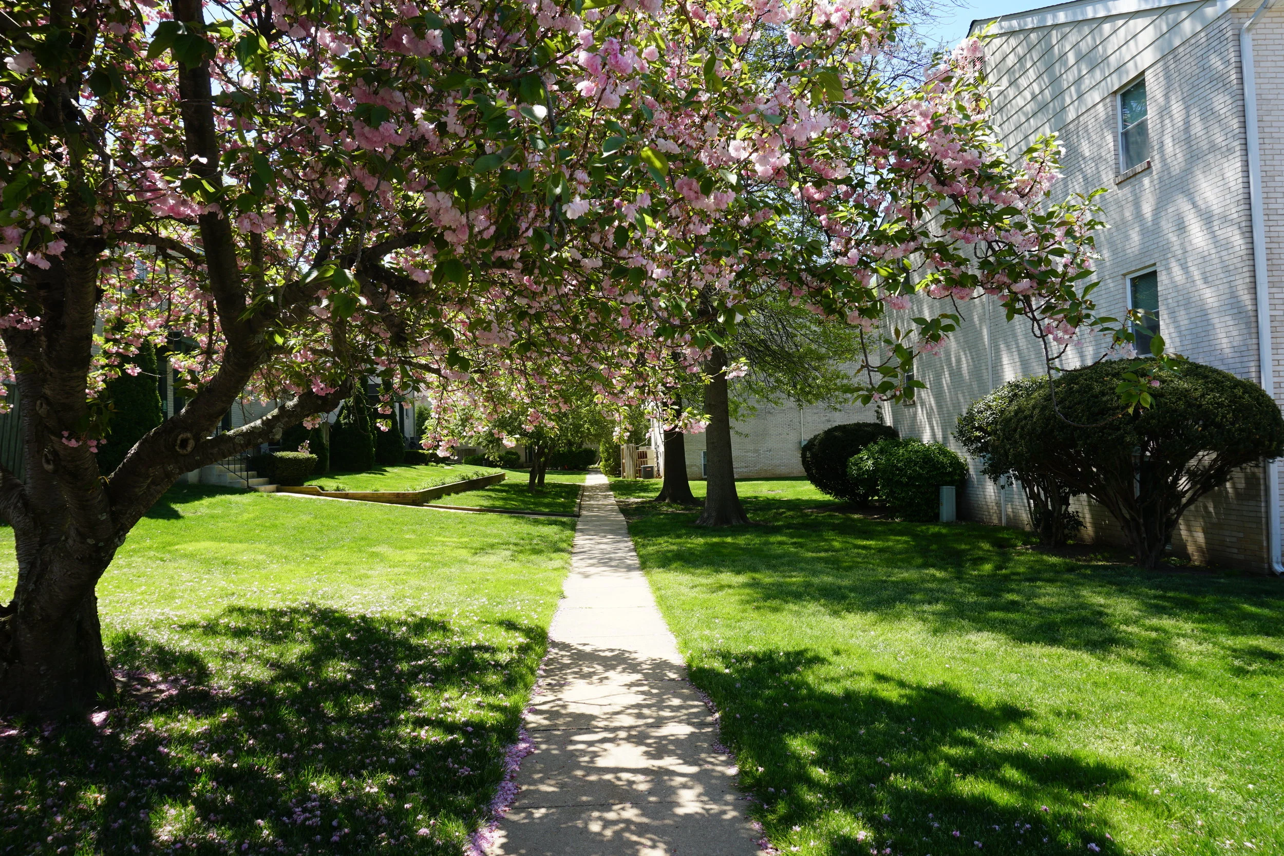 Harbor Club Apartments