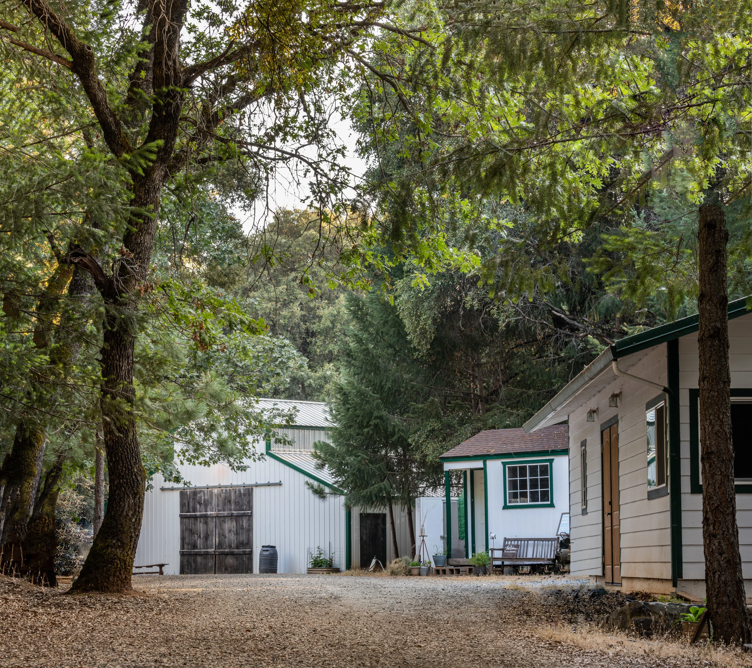 Our creamery, Tiny Store and goat barn