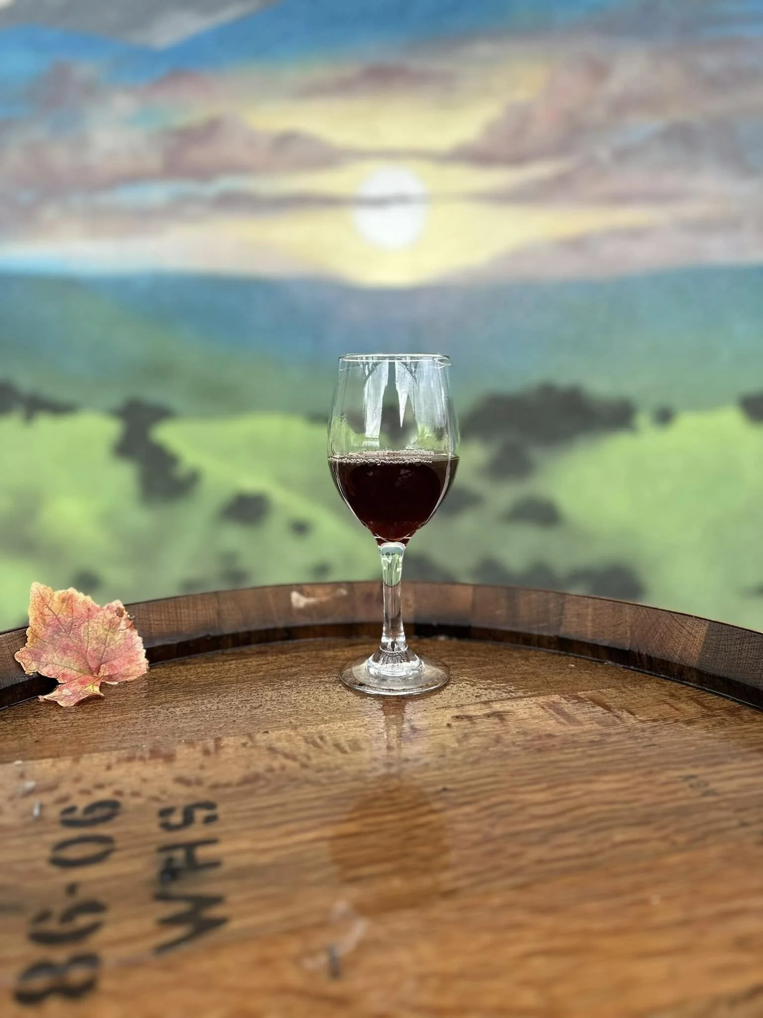 Jose Wine Caves