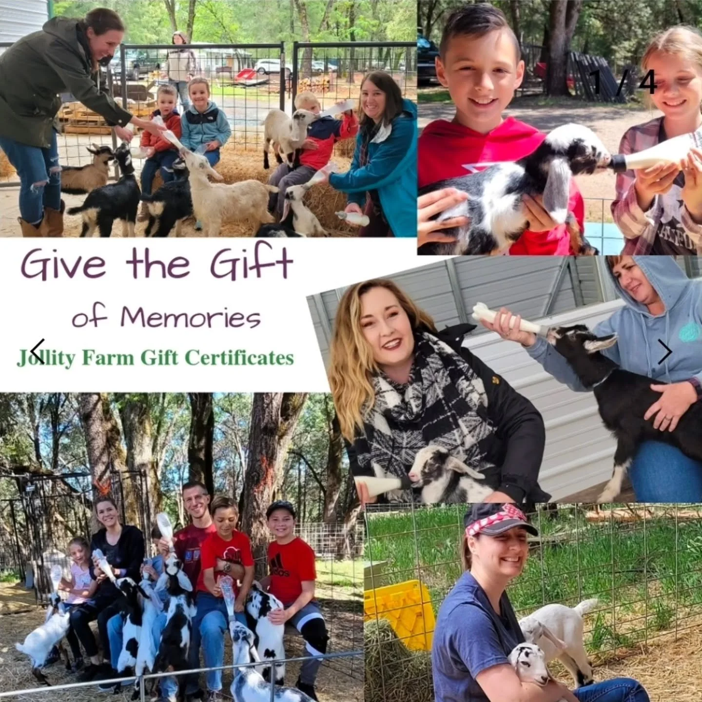 🎄✨ Spread some holiday cheer with a Jollity Farm gift card!
Perfect for the friend who loves local products, fresh air, and supporting small farms.
Let them choose their favorite soap scents, cozy lotions, or farm-fresh cheeses.

Buy online or pick 