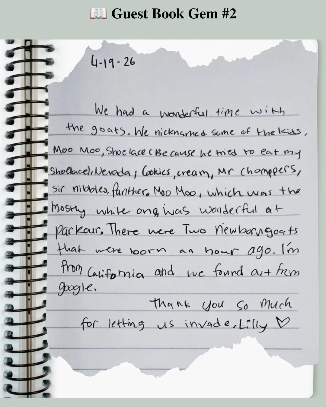 This guest book entry wasn't just a note...
It was a complete naming ceremony for the baby goats. 🐐

One visitor carefully assigned a name to every kid in the pen. Every. Single. One.

Some names fit surprisingly well. A few had us laughing out loud