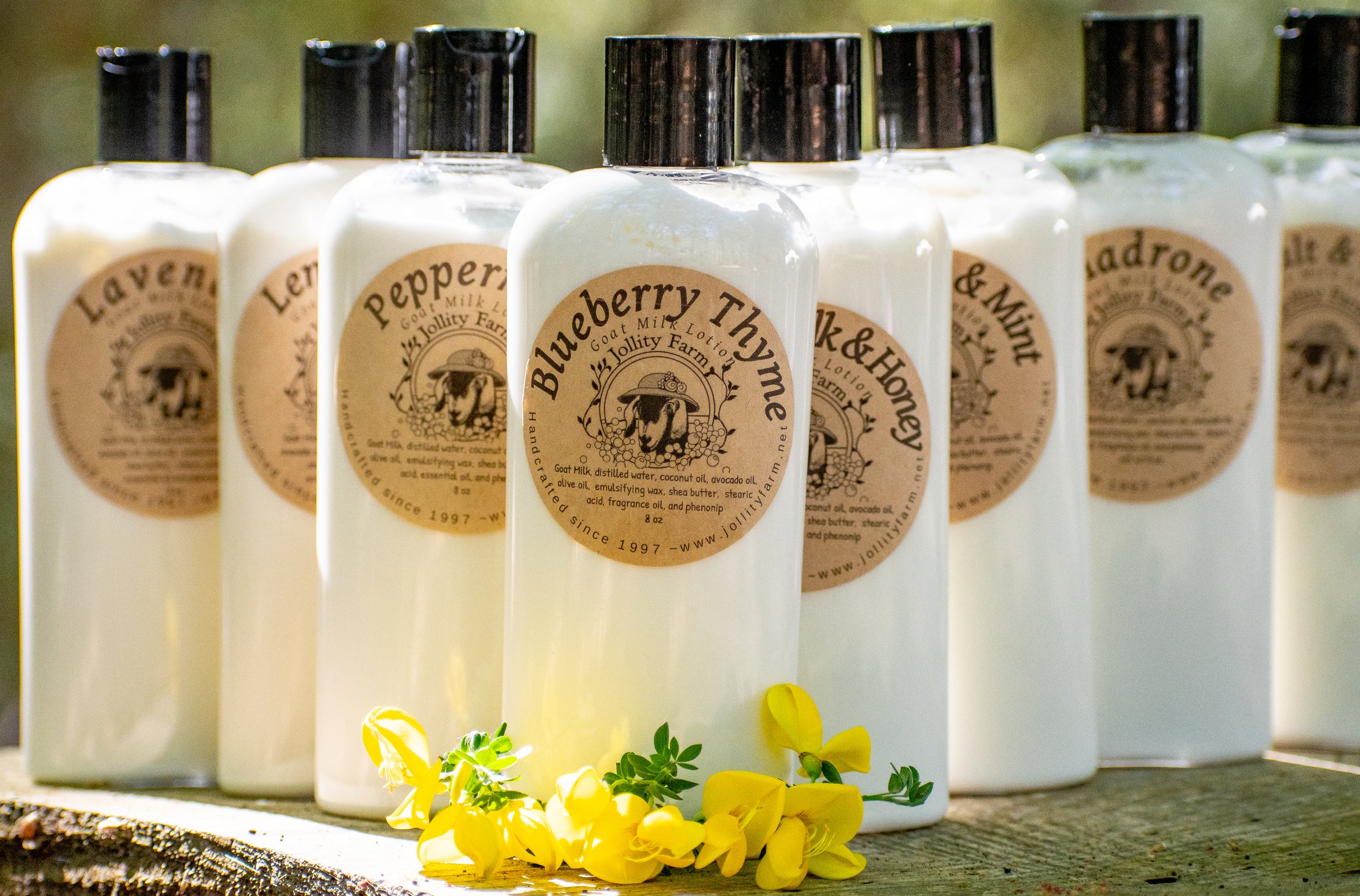 Blueberry Thyme Goat Milk Lotion