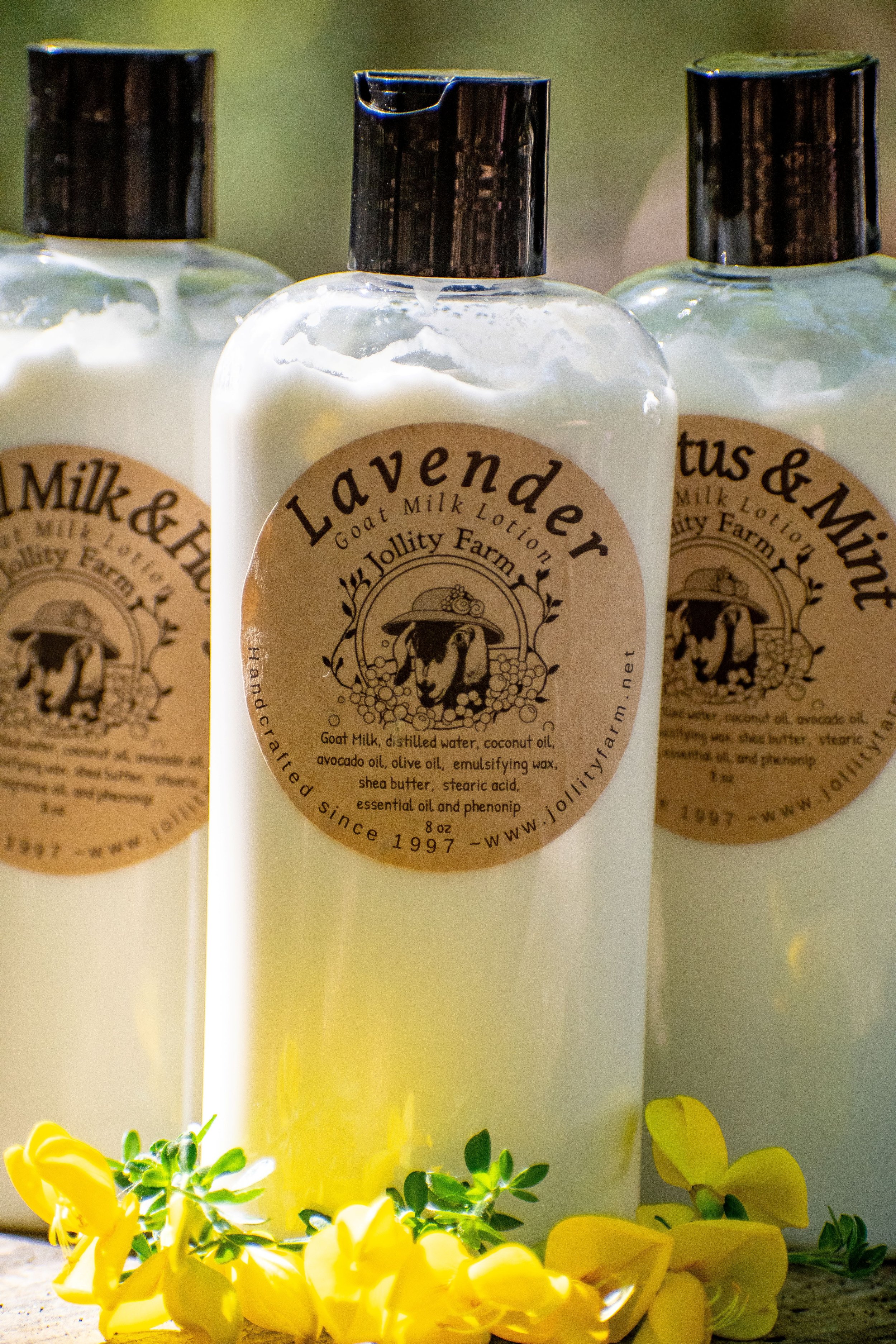 Lavender Goat Milk Lotion