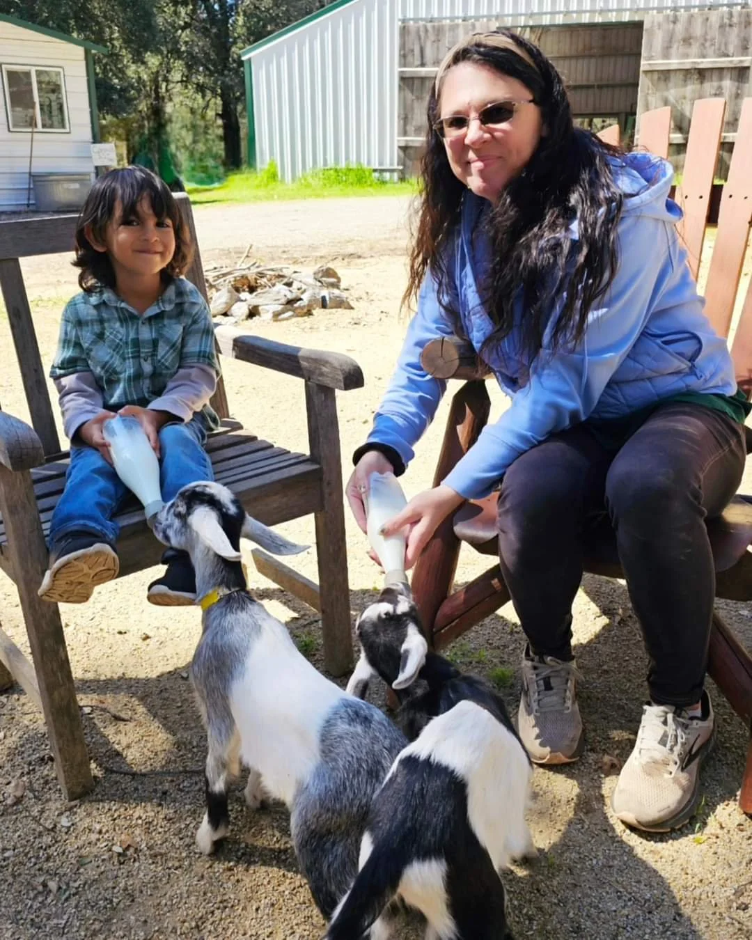 mom and child bottle feeding baby goats.jpg