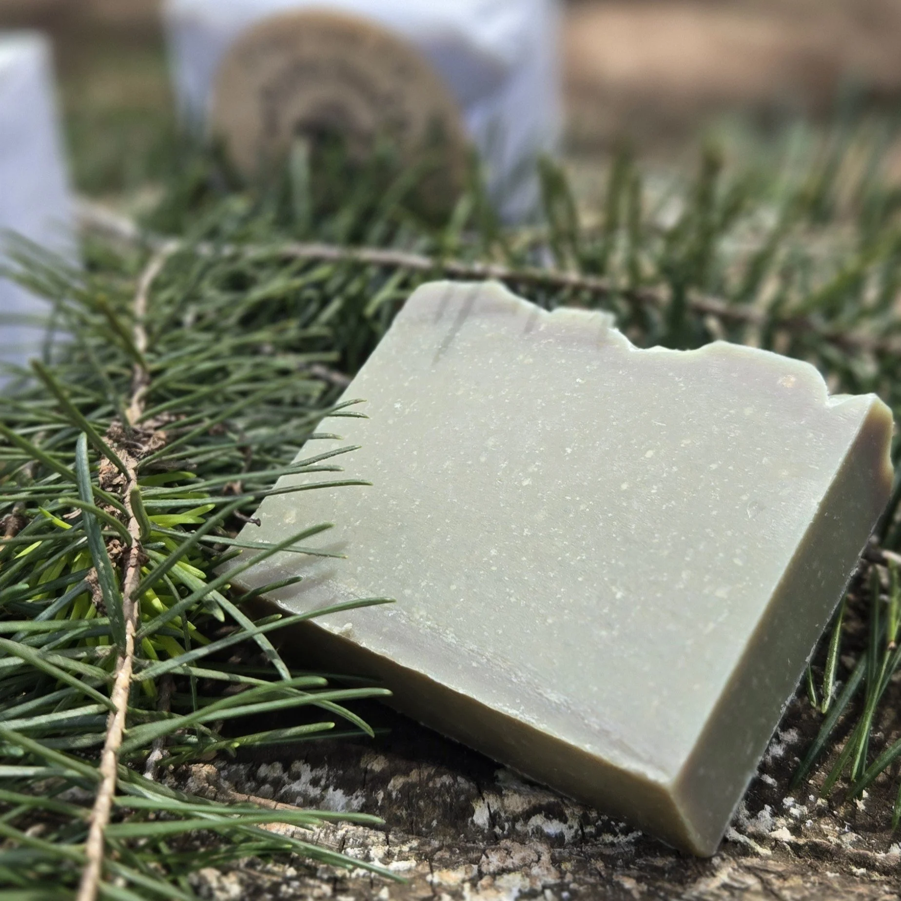 Fragrant Fir Goat milk soap.jpg